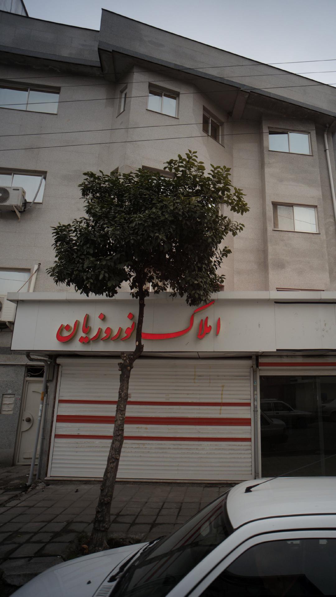 مشاور املاک نوروزیان