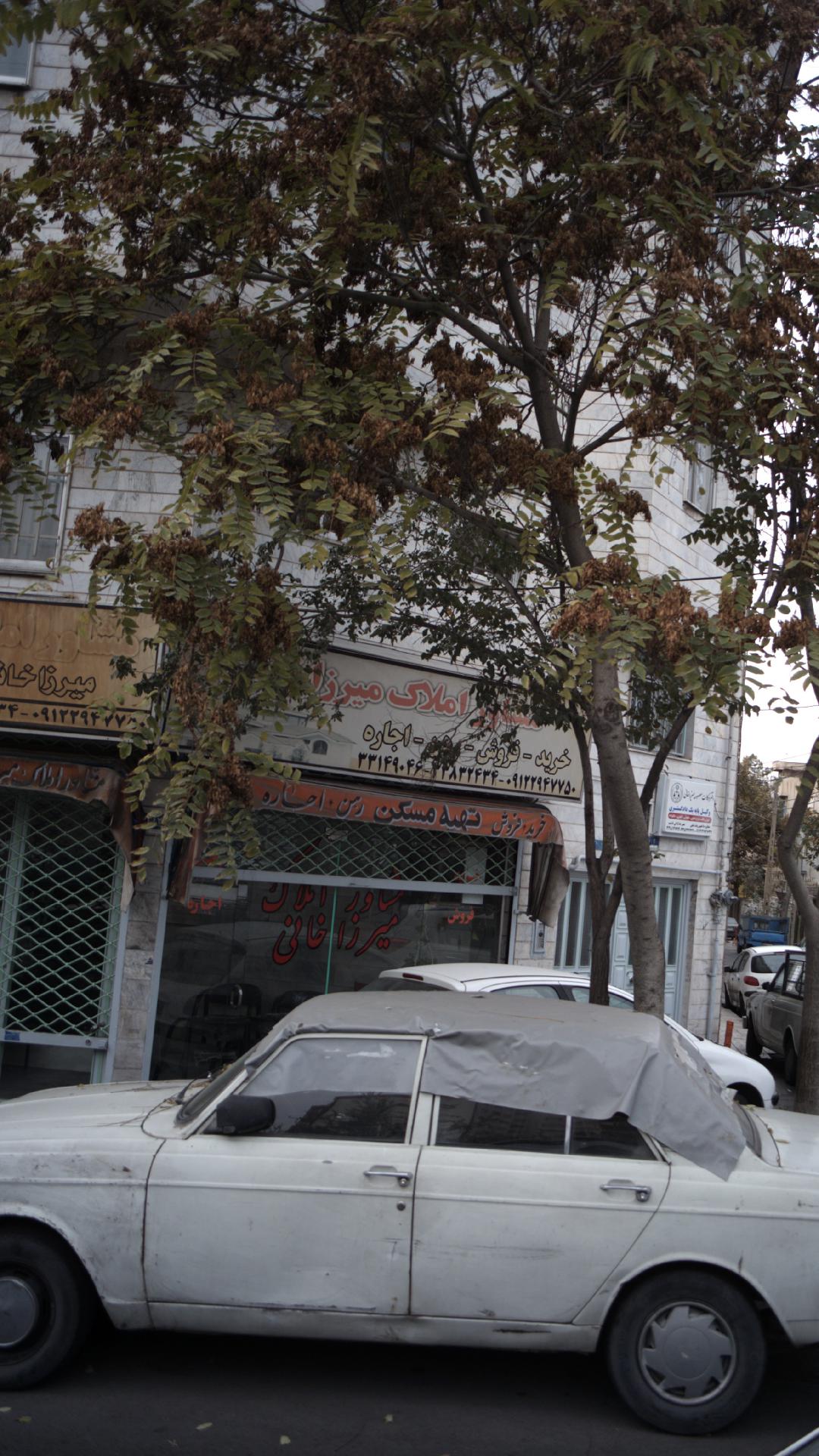 مشاور املاک میرزاخانی