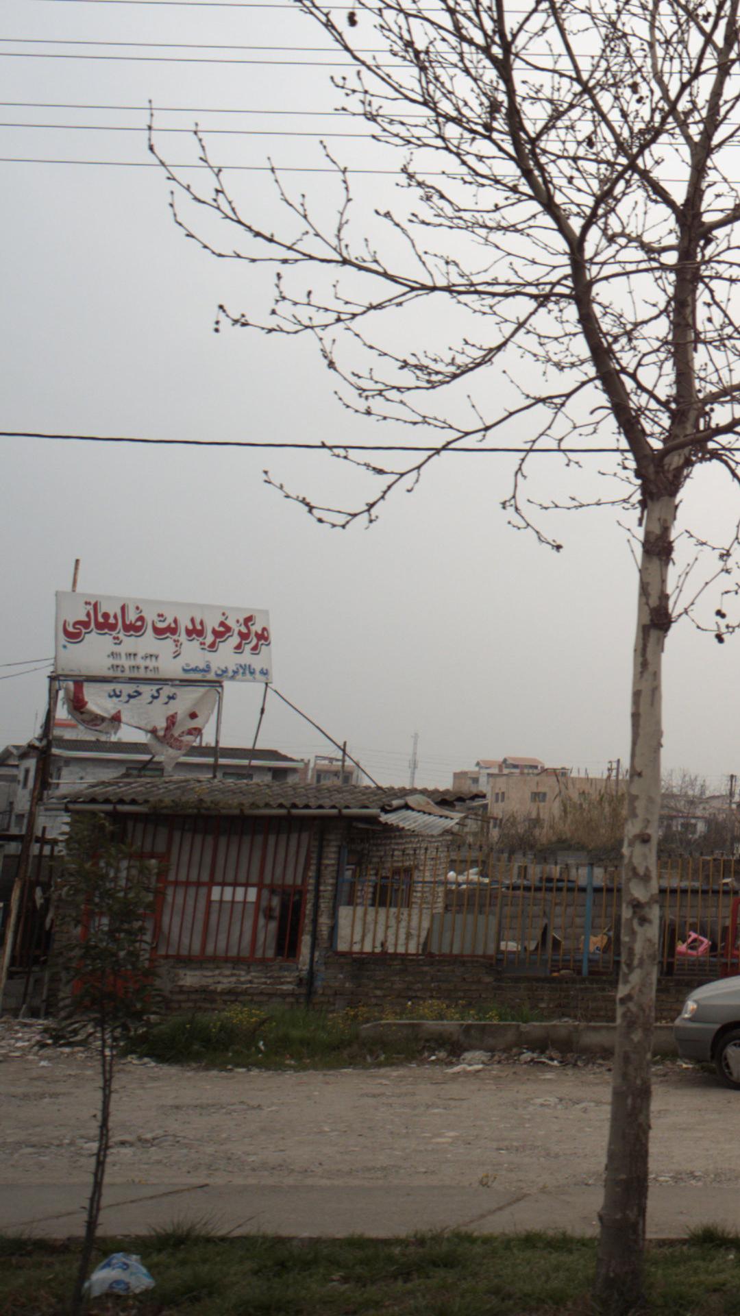 مرکز خریدپت ضایعاتی