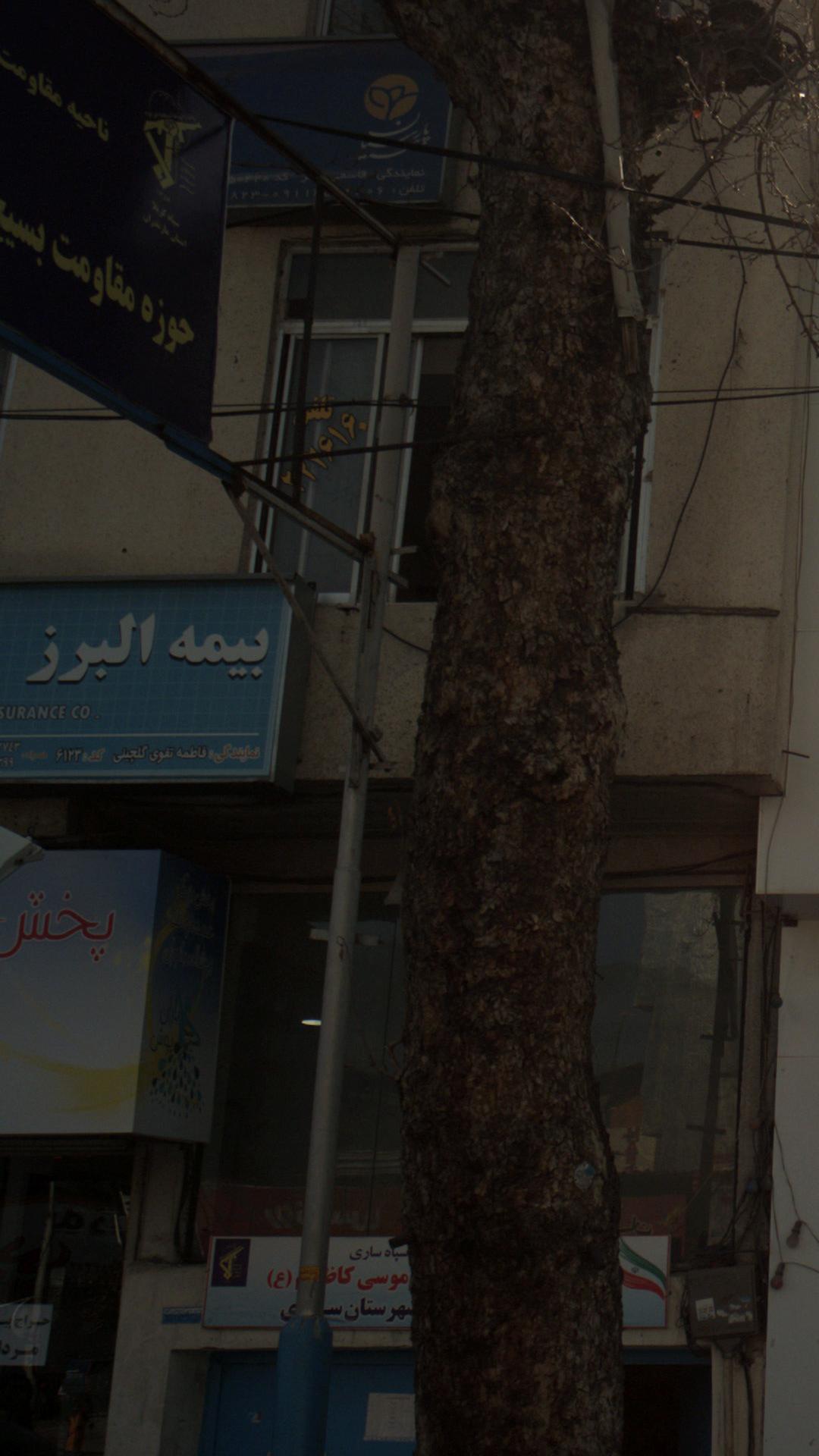 بیمه البرز