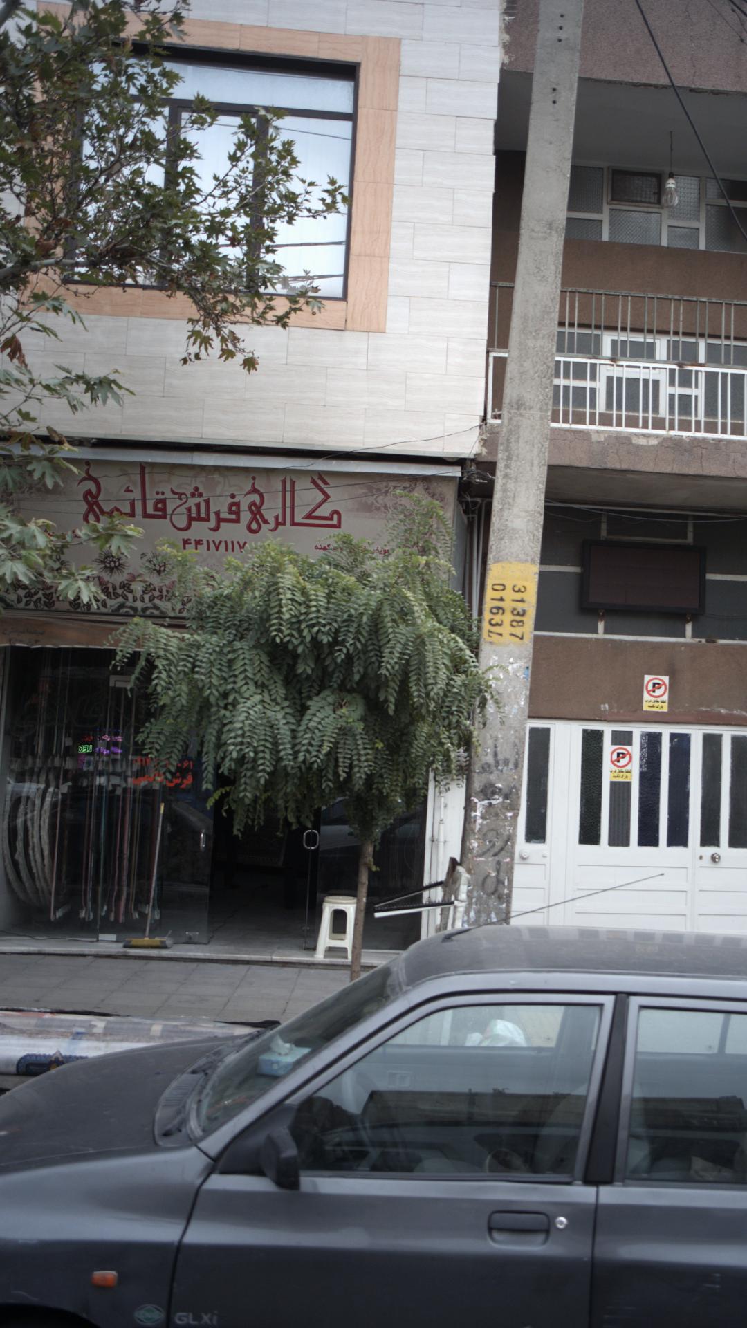 گالری فرش قائم