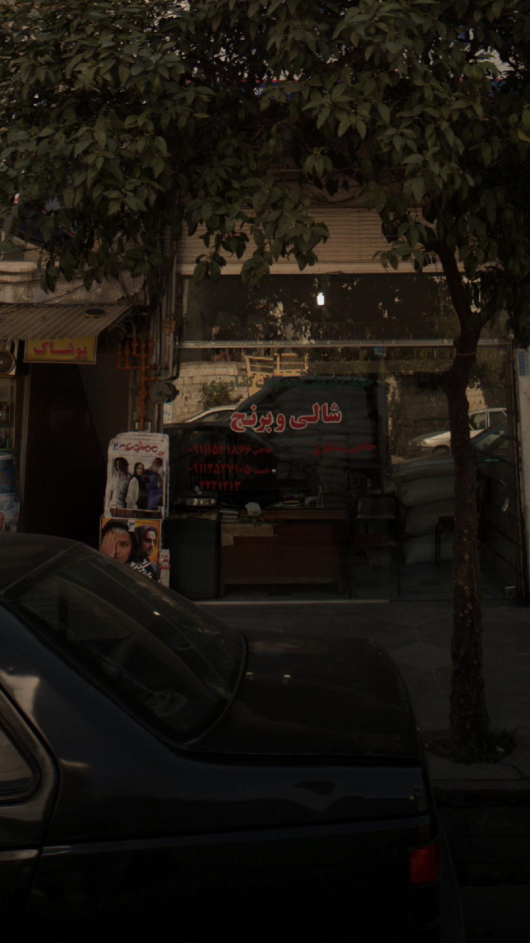 فروشگا شالی و برنج