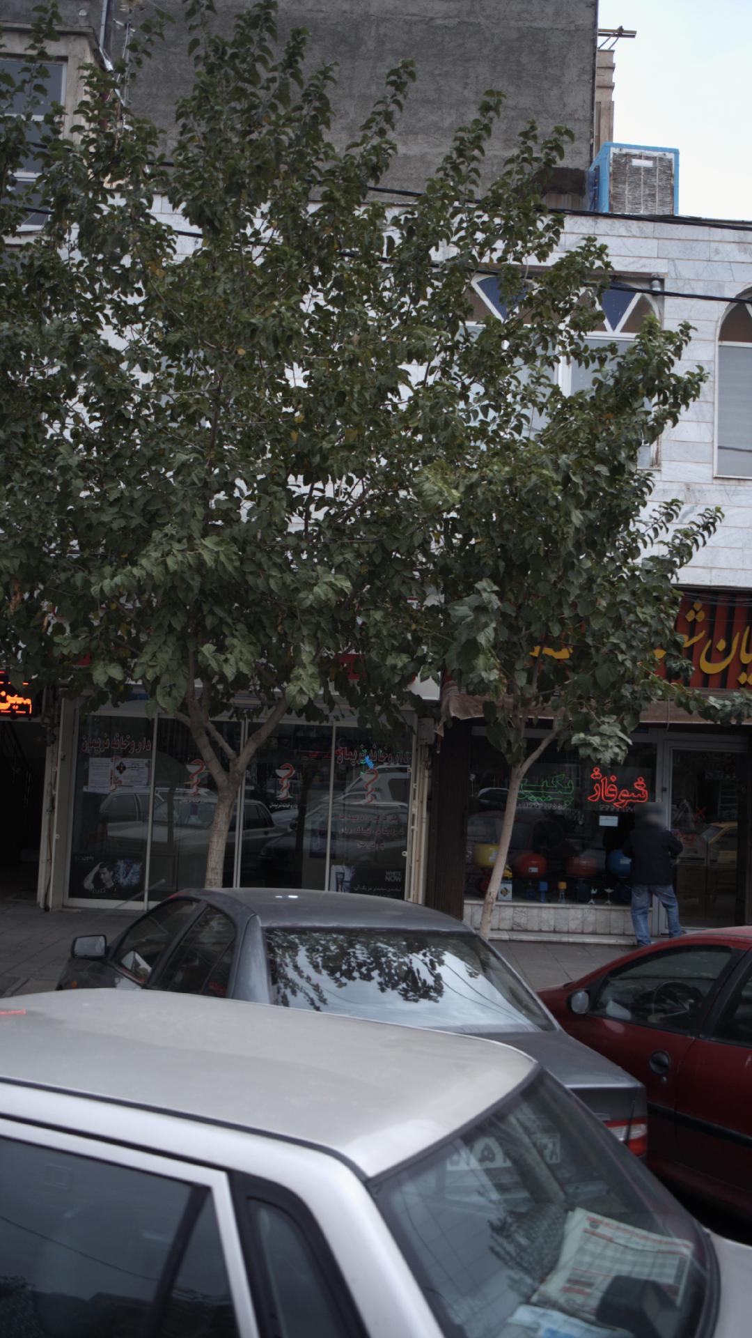 داروخانه نریمان