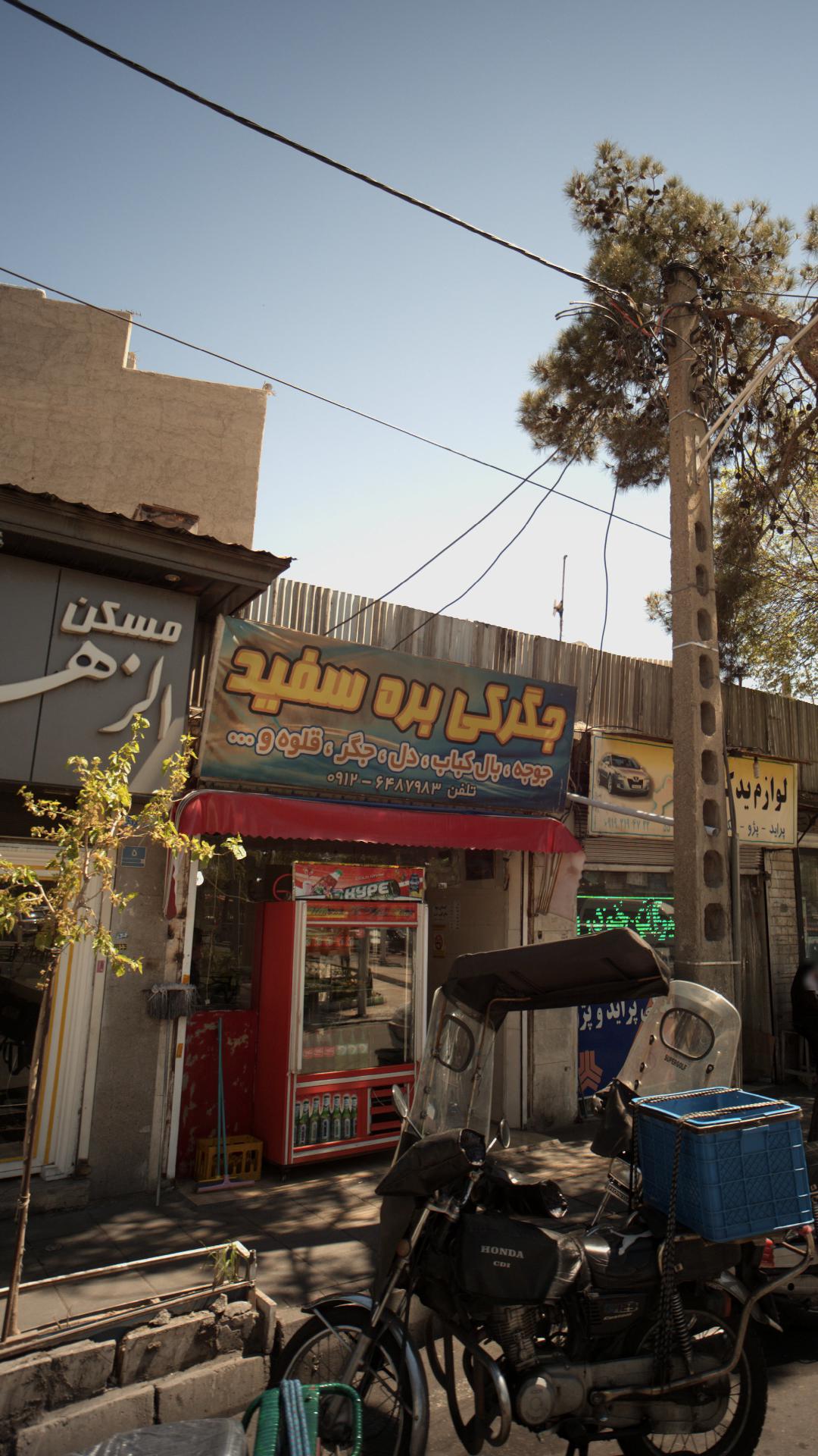 جگرکی بره سفید