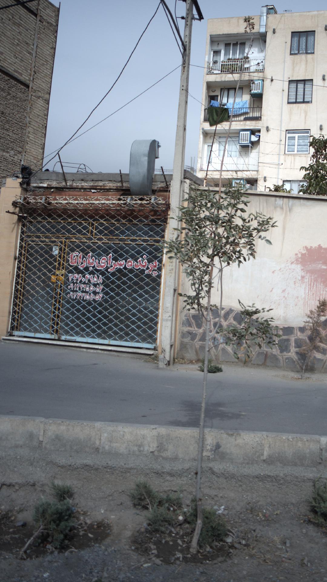 پرنده سرای باراتا