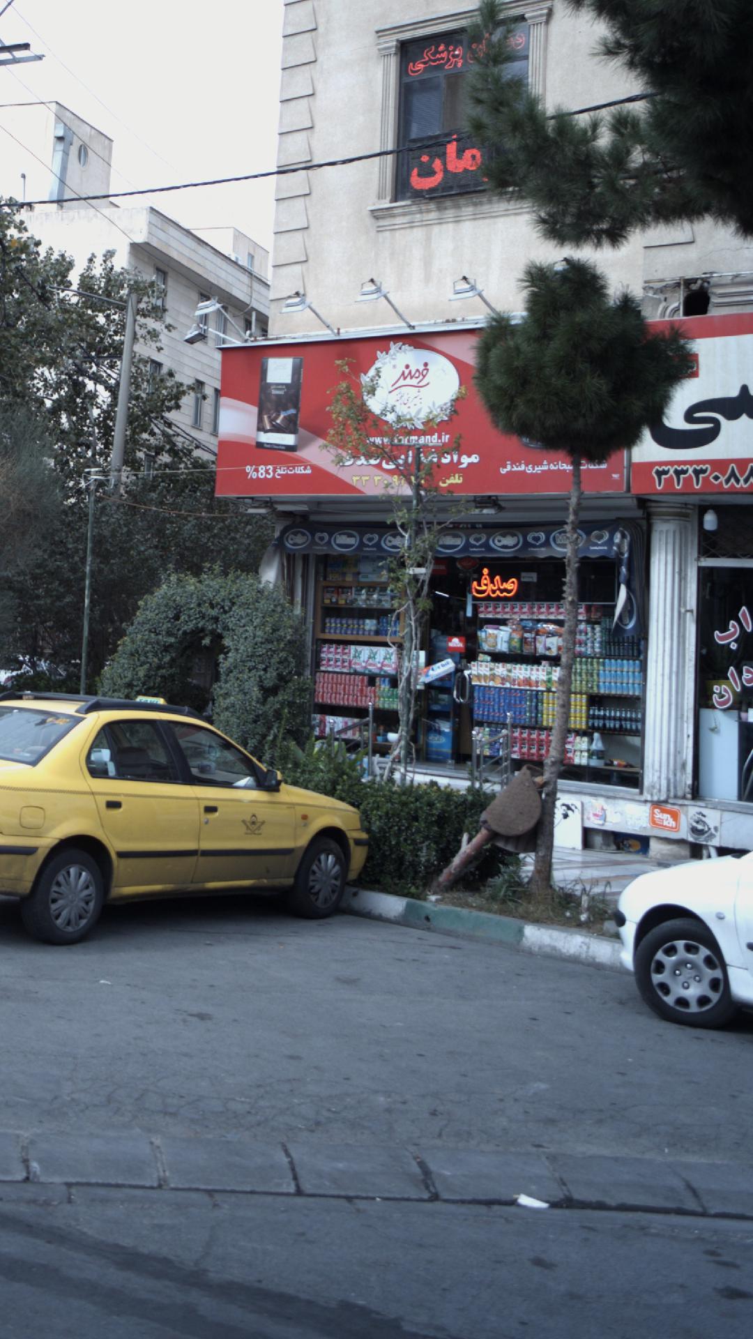 مواد غذایی صدف