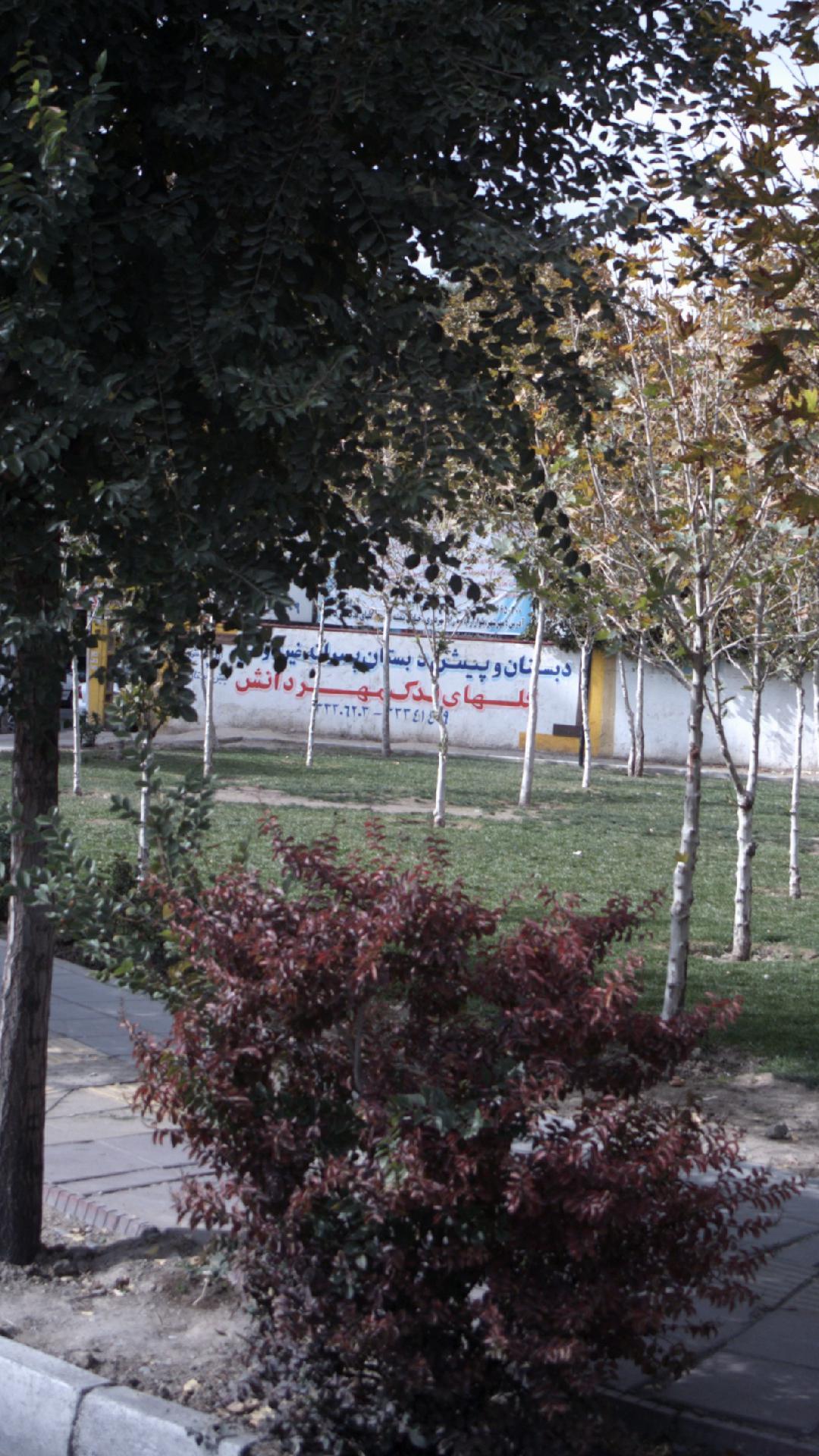 دبستان و پیش دبستان پسرانه غیردولتی گلهای مهر دانش