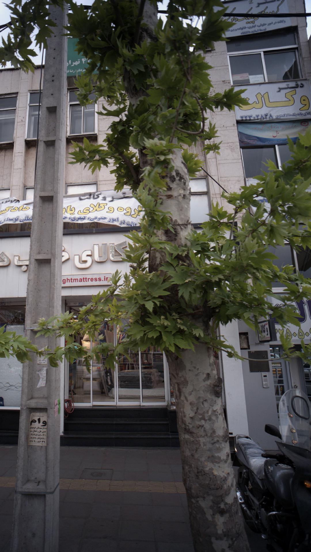 مرکز درمان و بازتوانی وابستگی به مواد پل