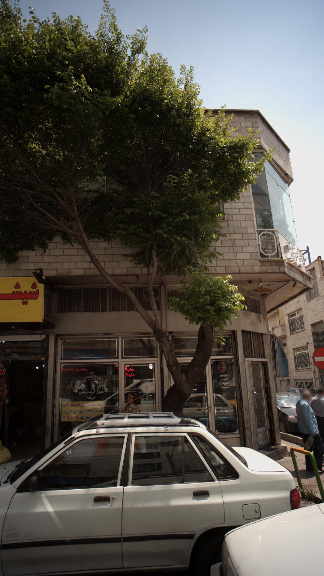 مواد پروتئینی نمونه