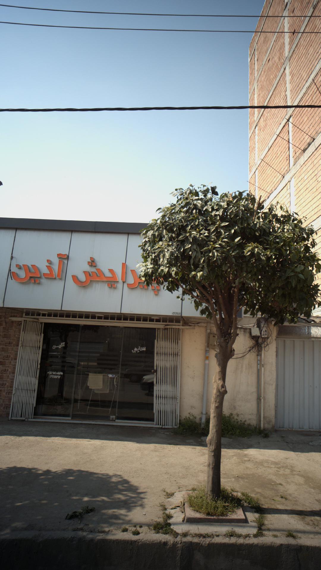 پیرایش آذین