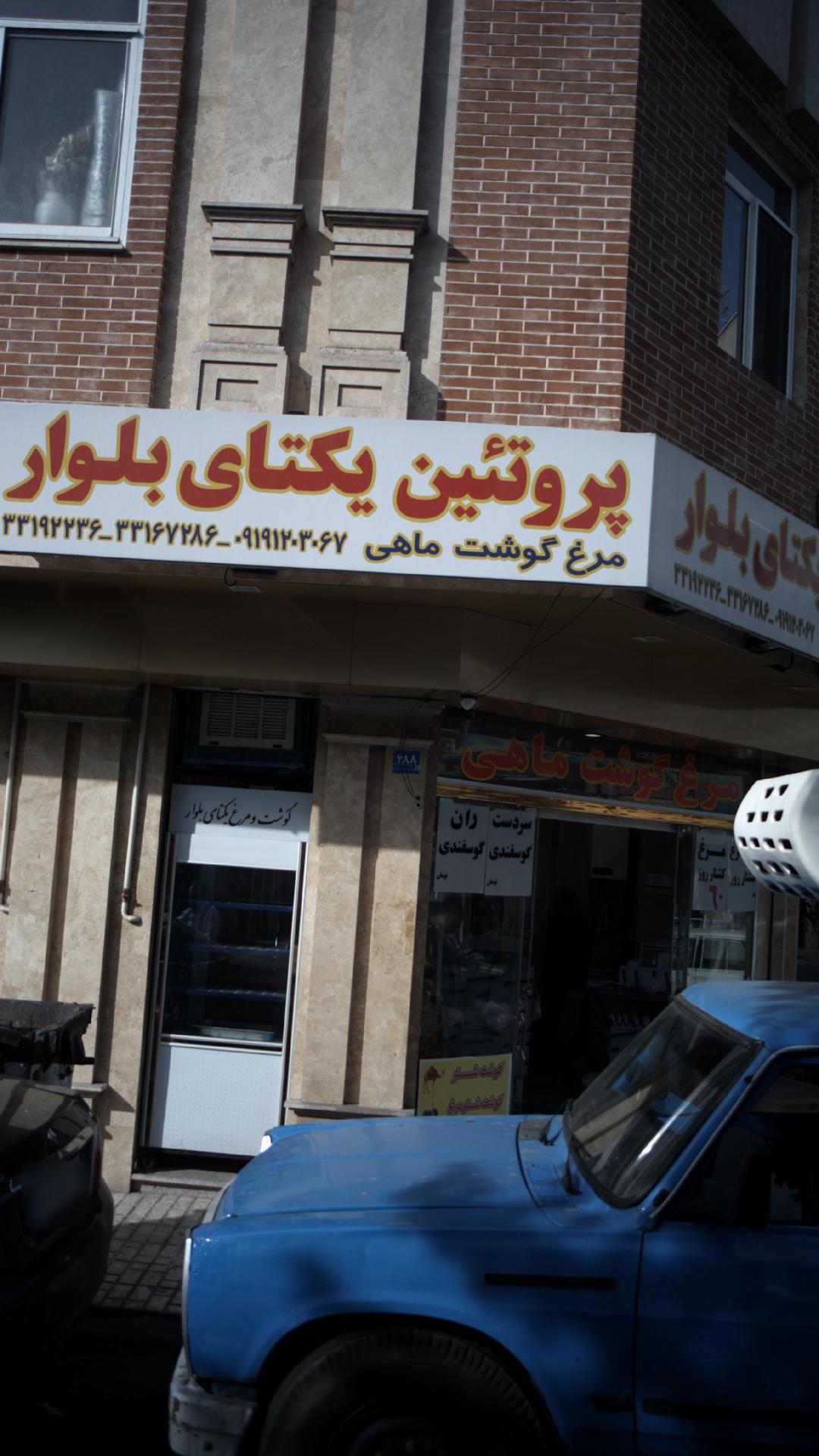 پروتئین یکتای بلوار