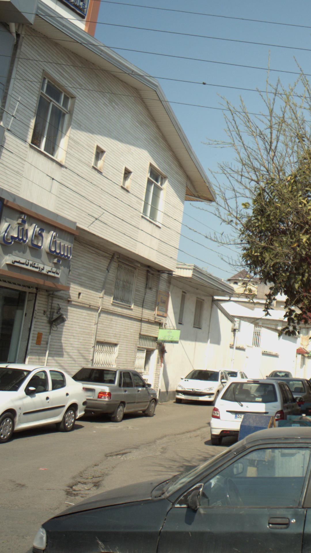 سینا کاشی