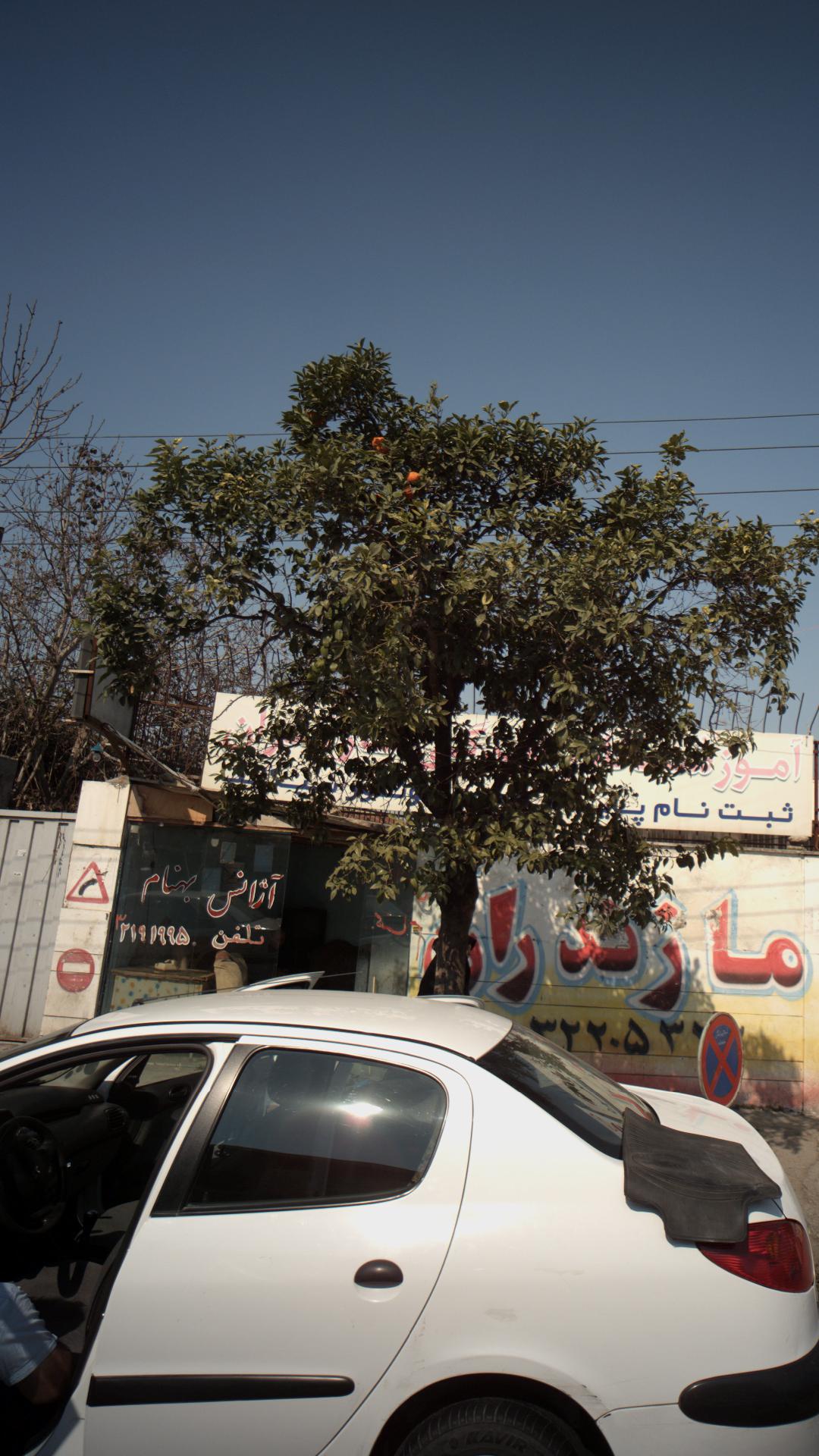 آژانس بهنام