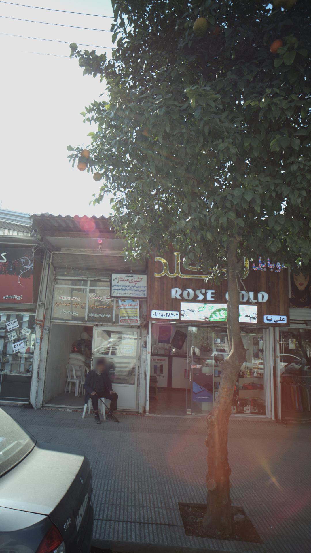رز گلد