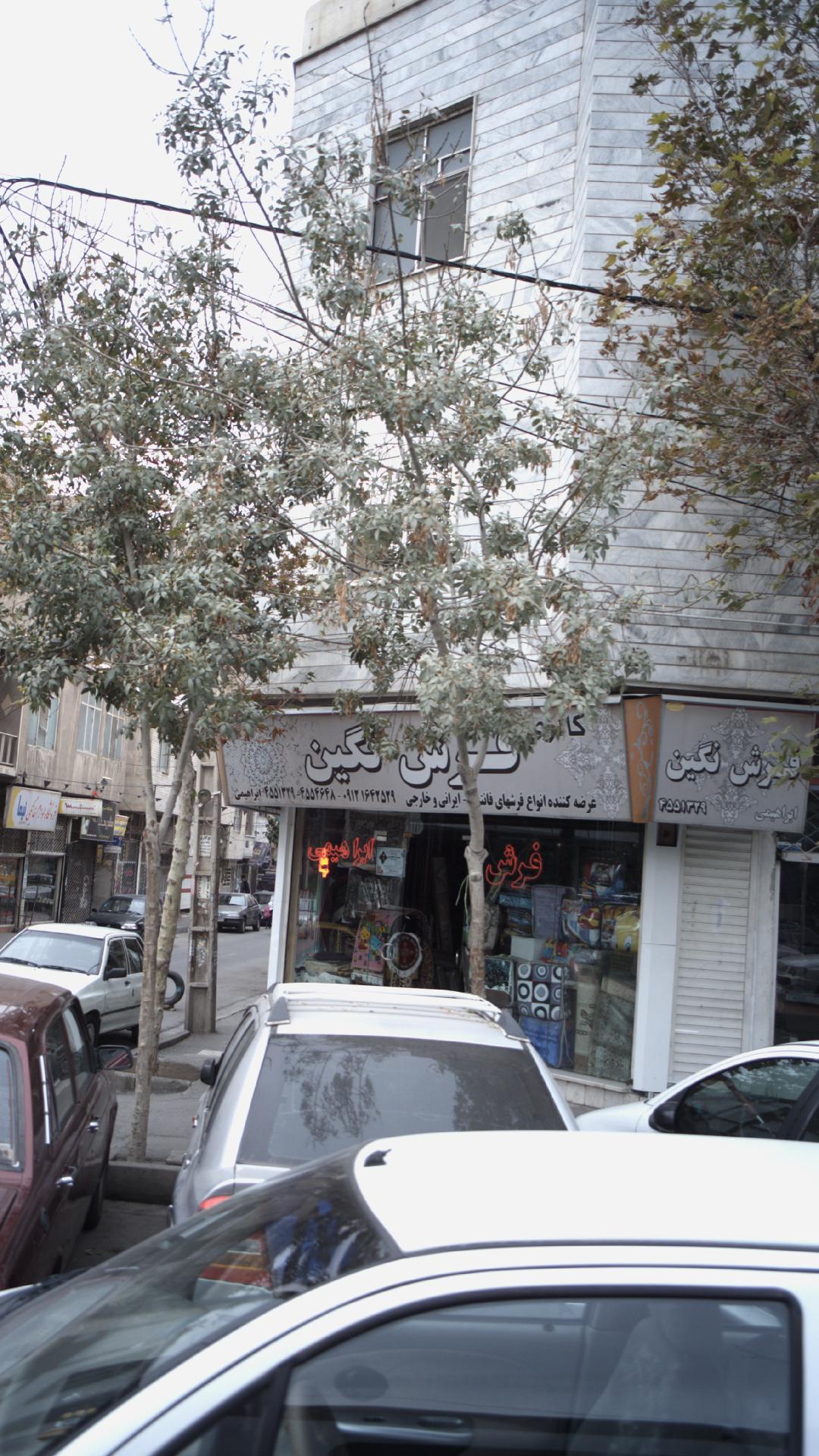 گالری فرش نگین
