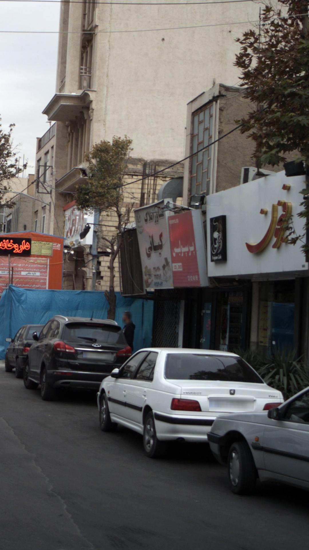مشاور املاک کیانی