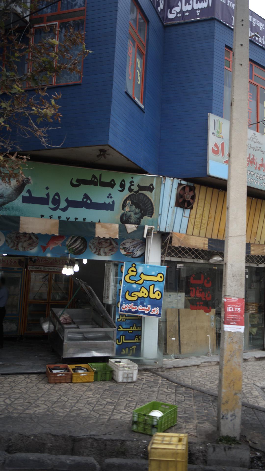 مرغ وماهی شهروند