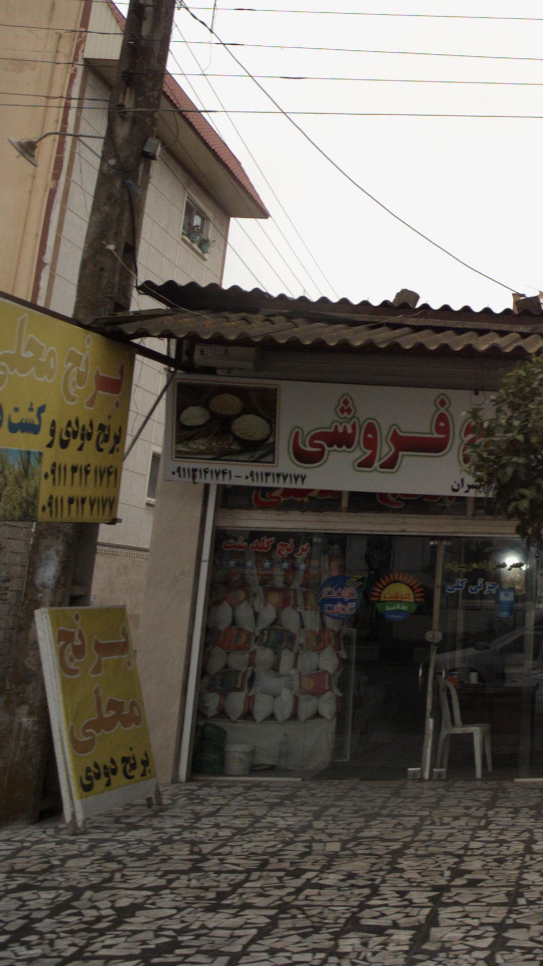 برنج محلی برنج دودی وکشت دوم