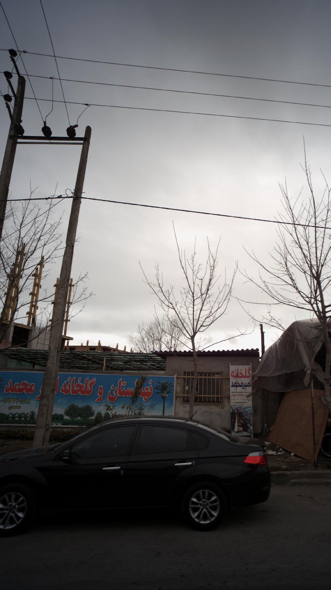 گلخانه تمیر محمد