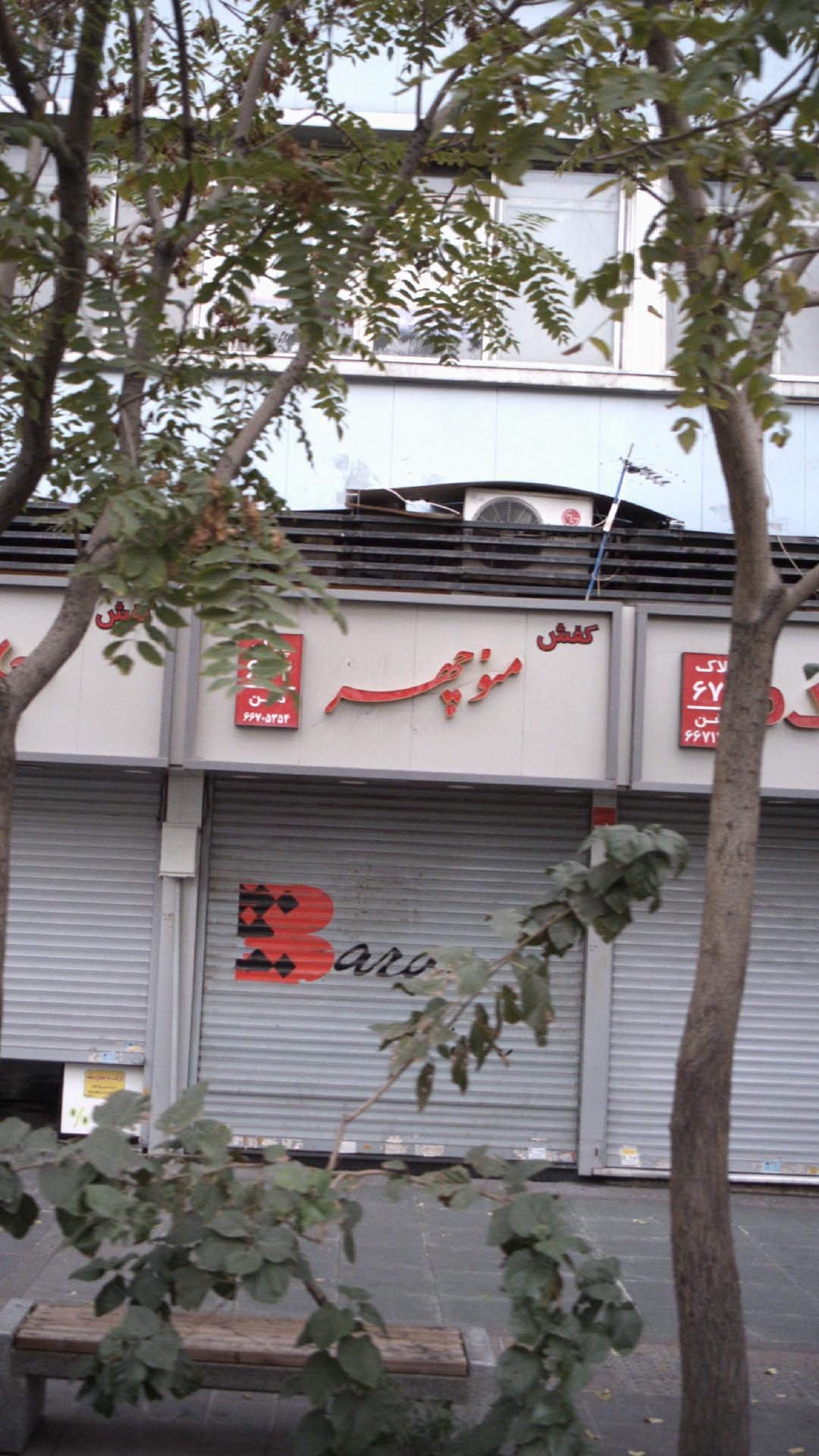 کفش منوچهر