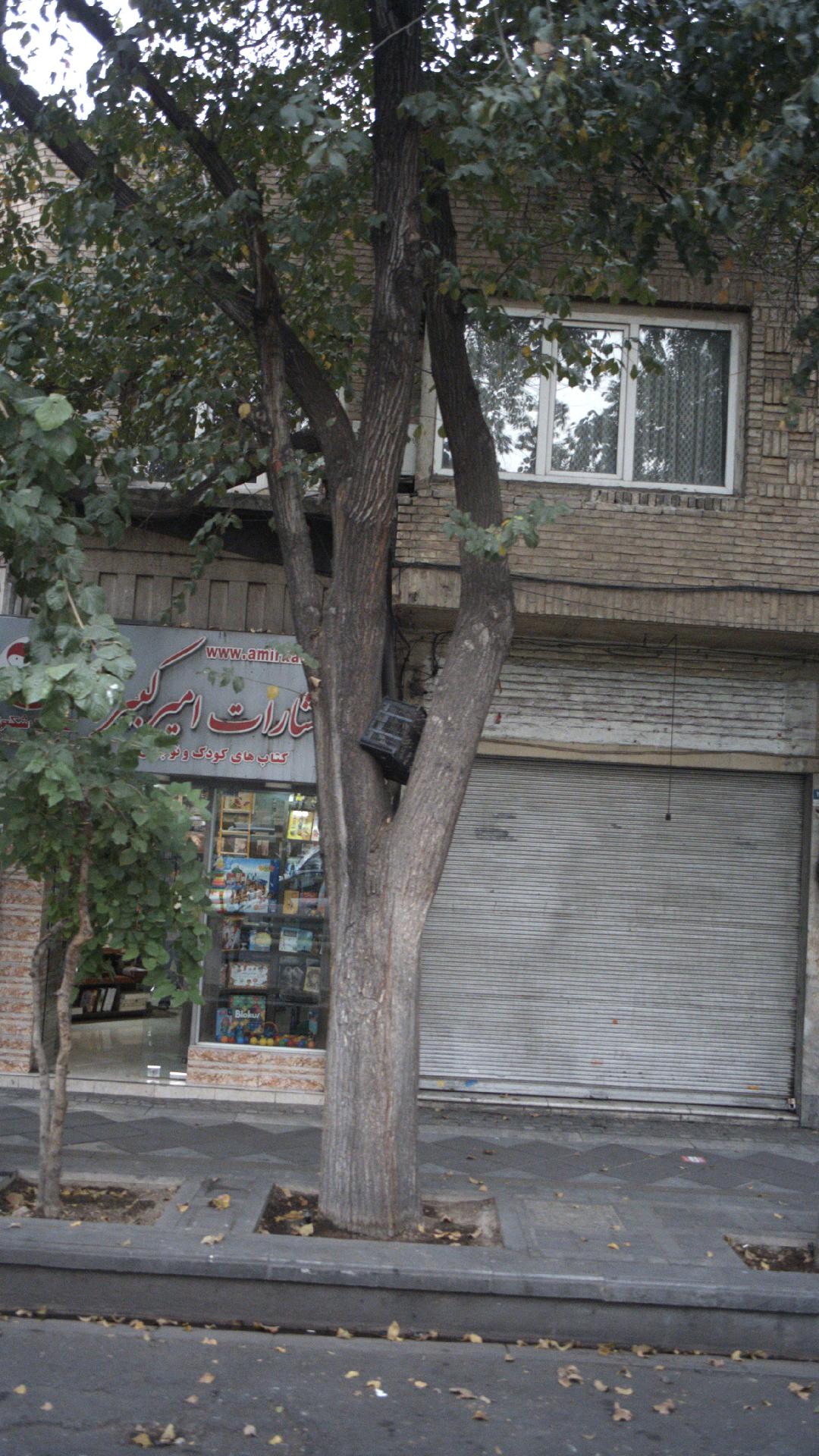 فروشگاه شماره 3 انتشارات امیرکبیر
