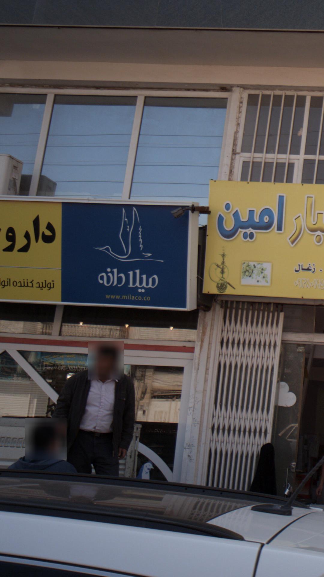 میلا دانه