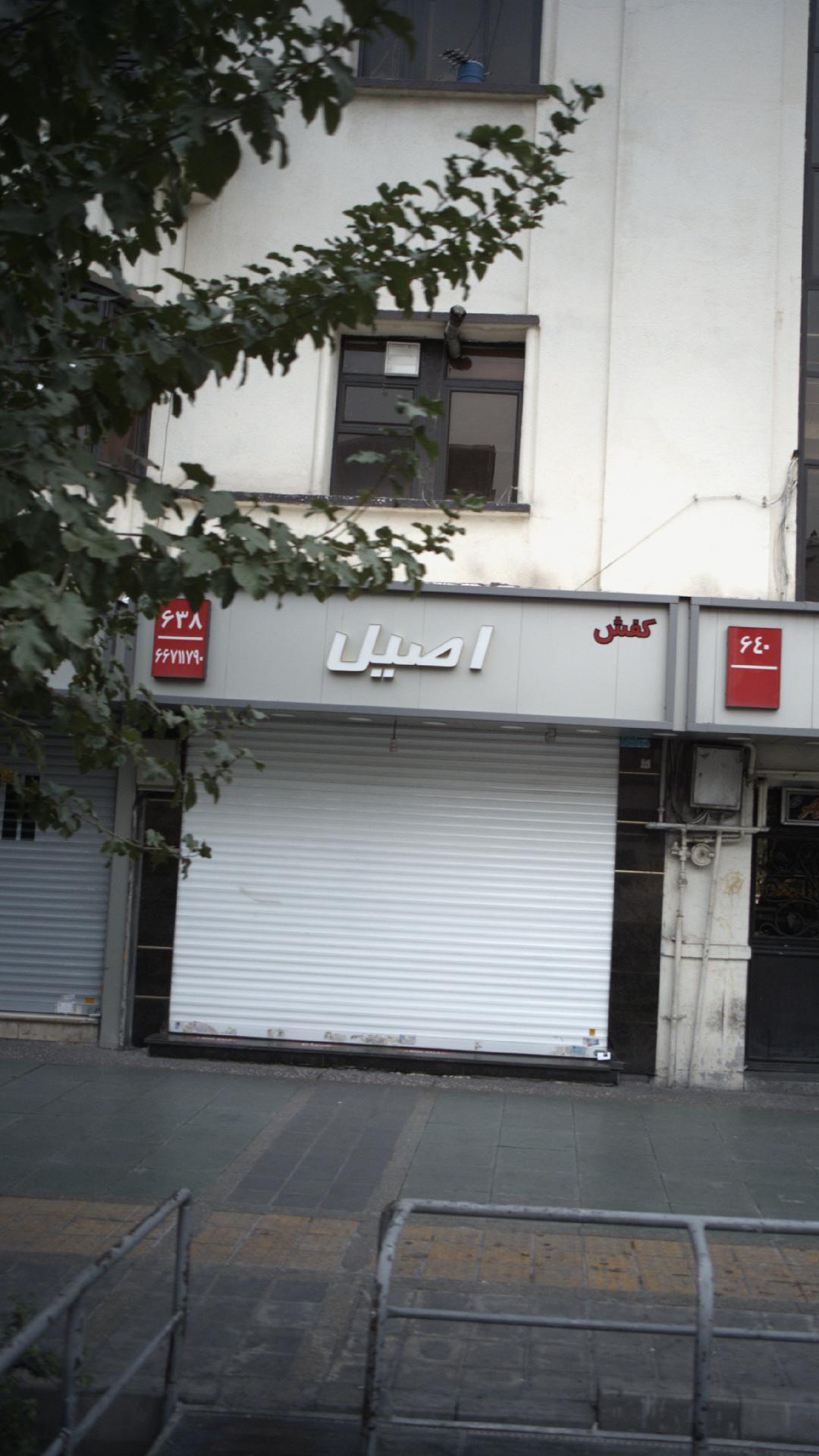 اصیل