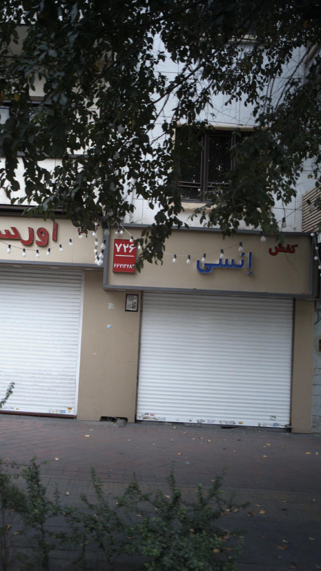 کفش انسی