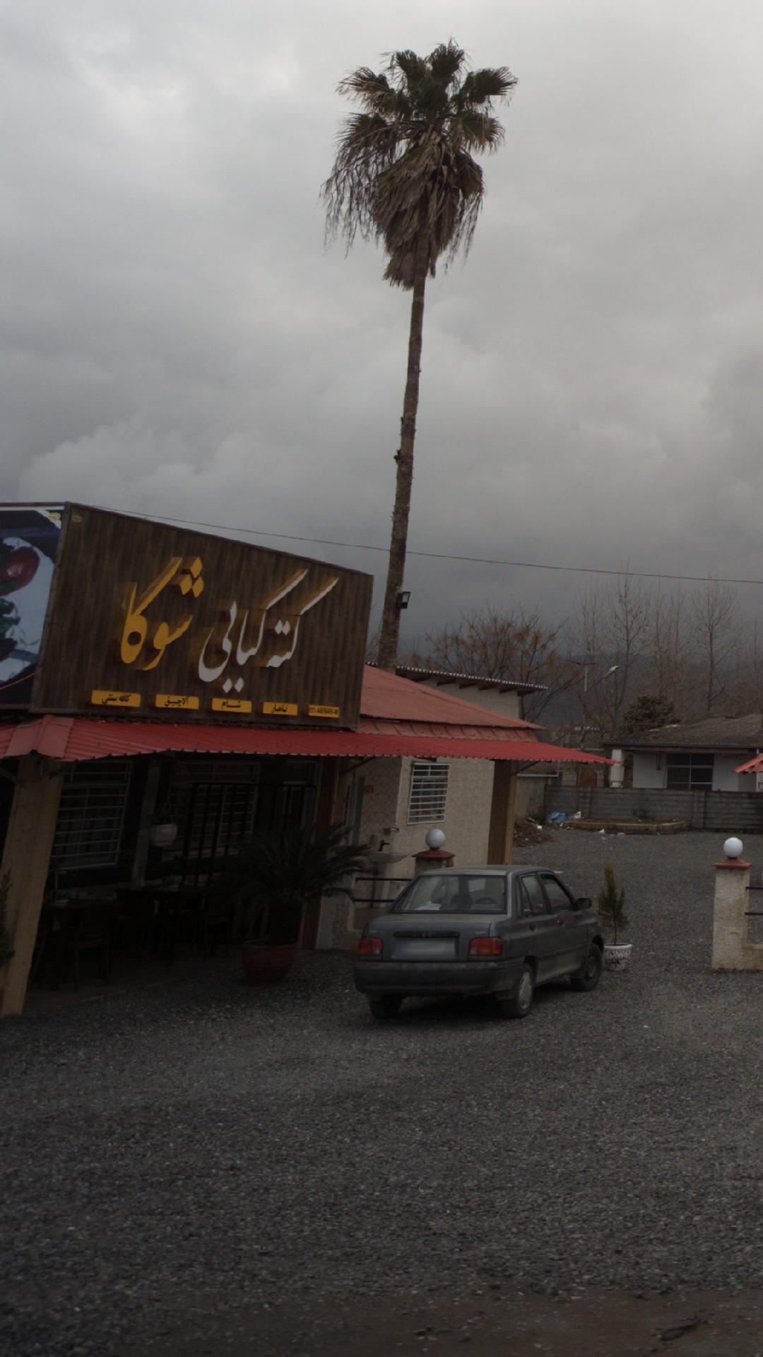 کته کبابی شوکا