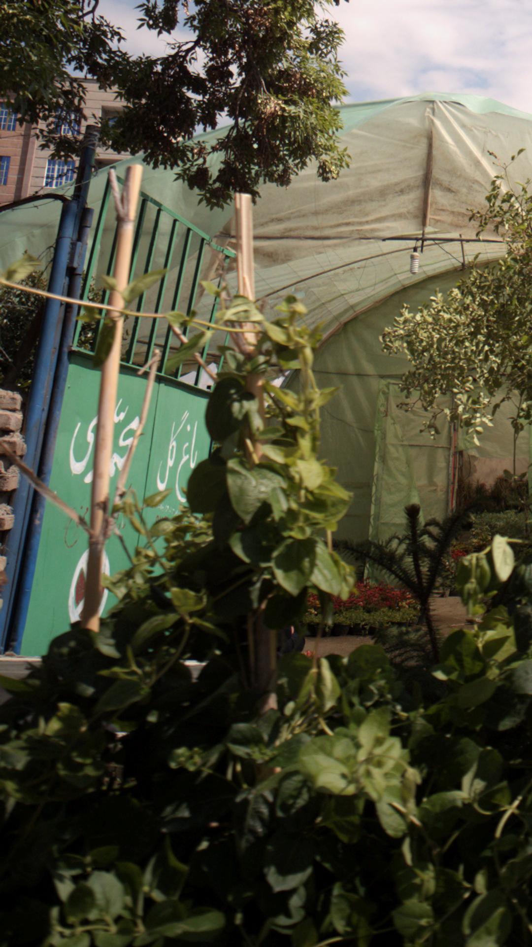 باغ گل محمدی