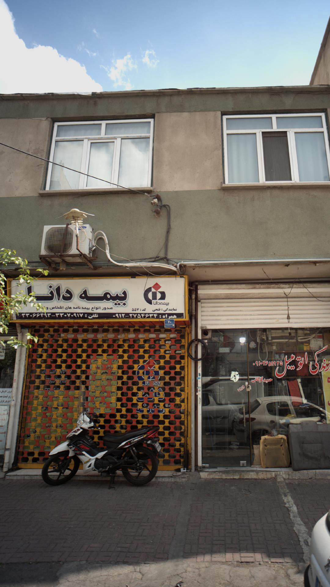 بیمه دانا