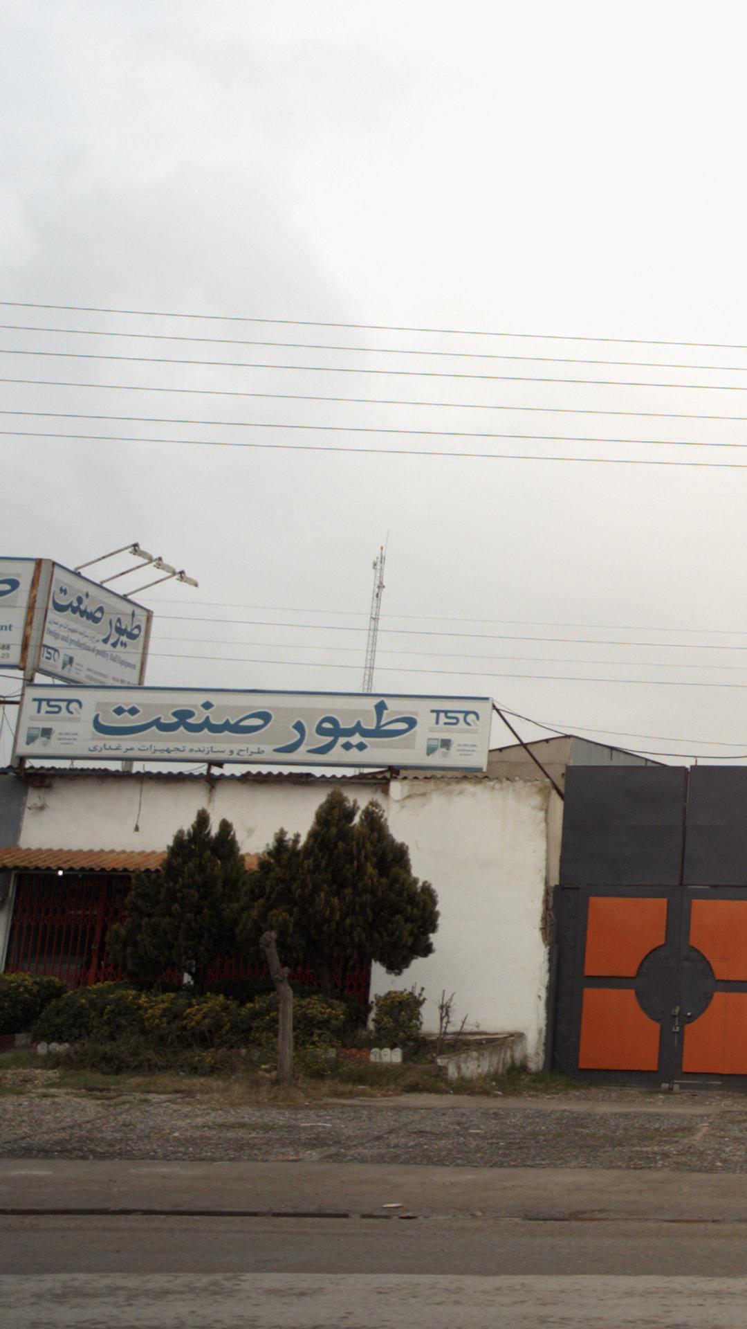 طیور صنعت