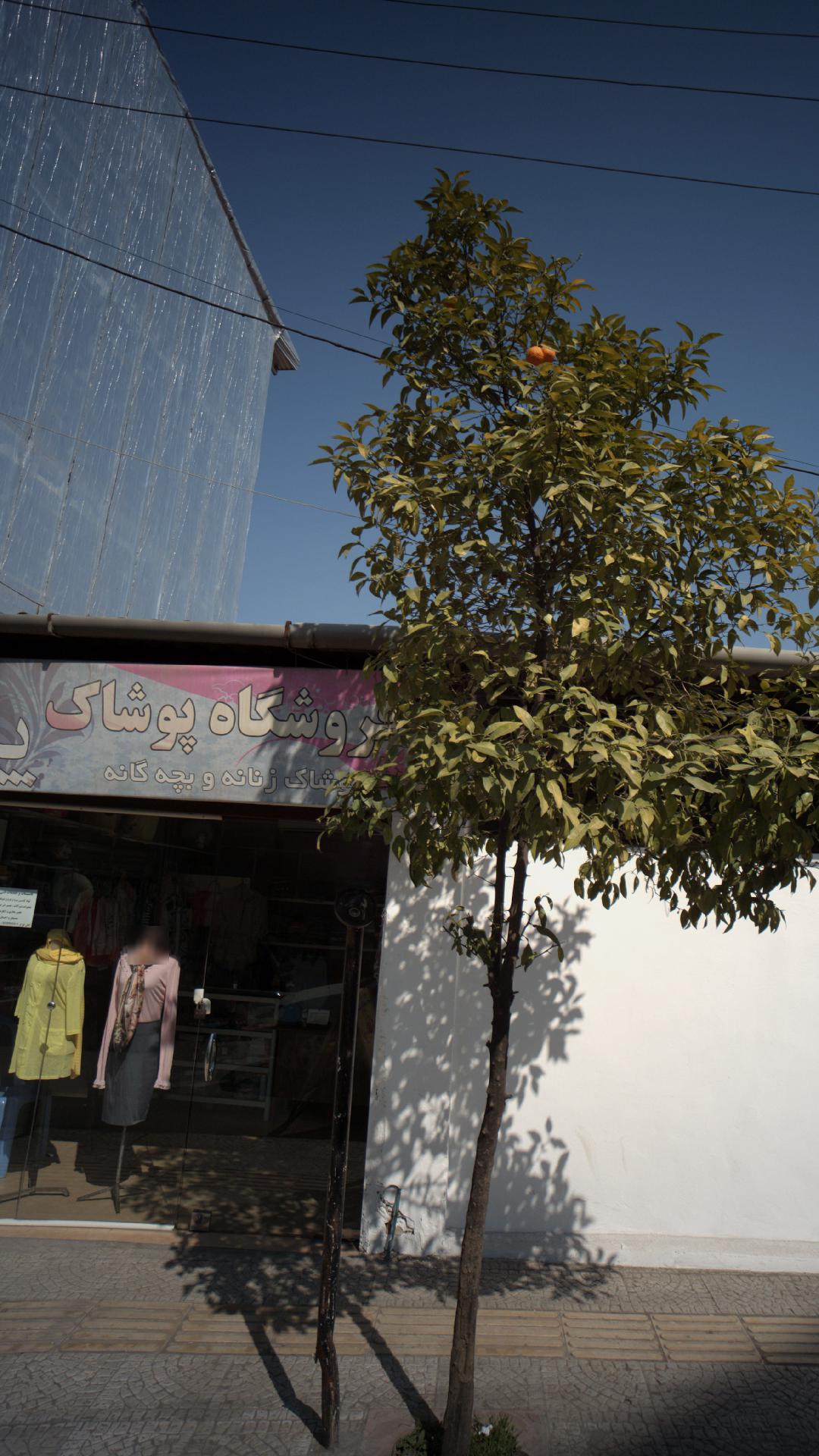 فروشگاه پوشاک پرهام