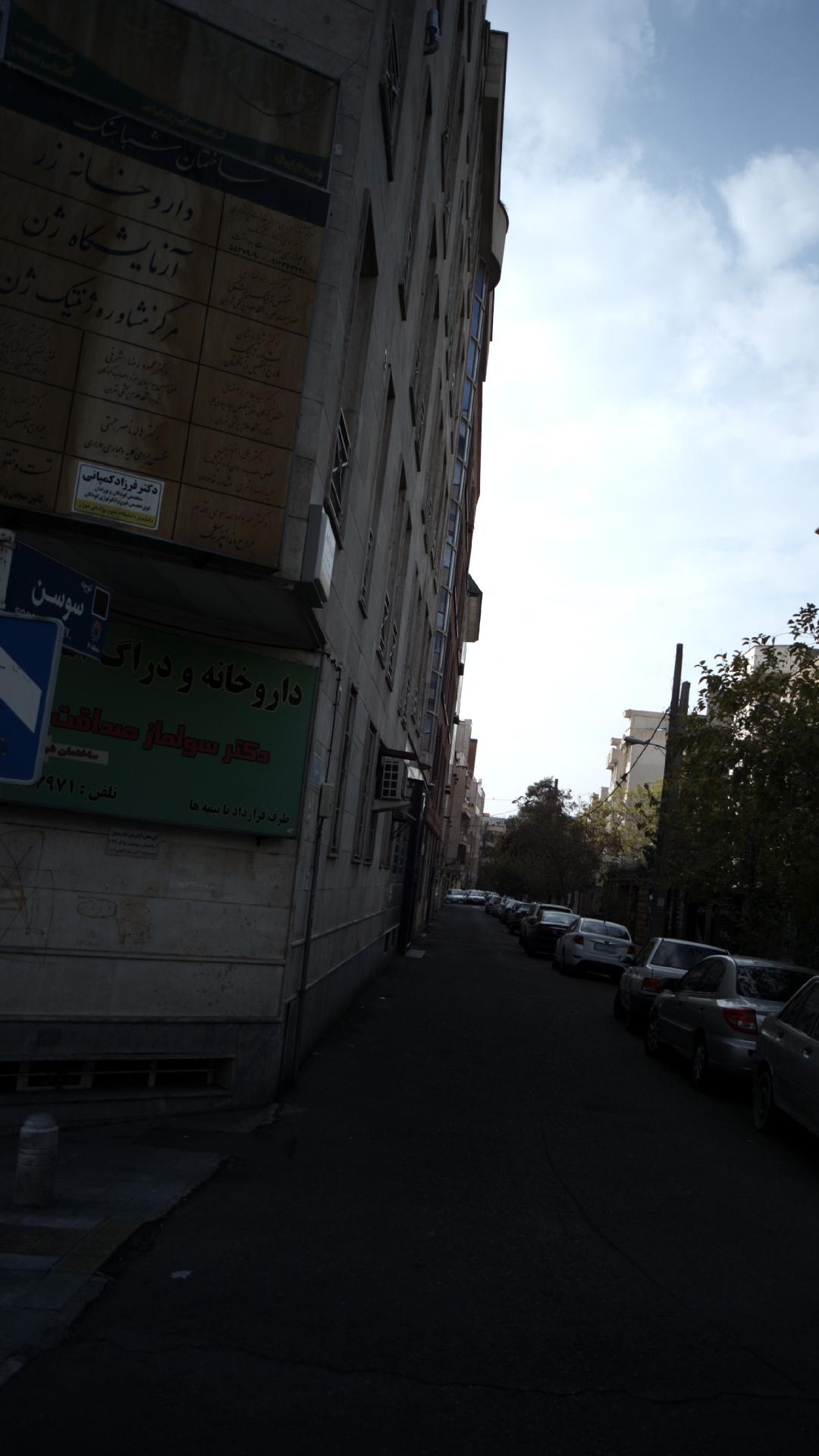 دکتر سیّد طاهر اصفهانی