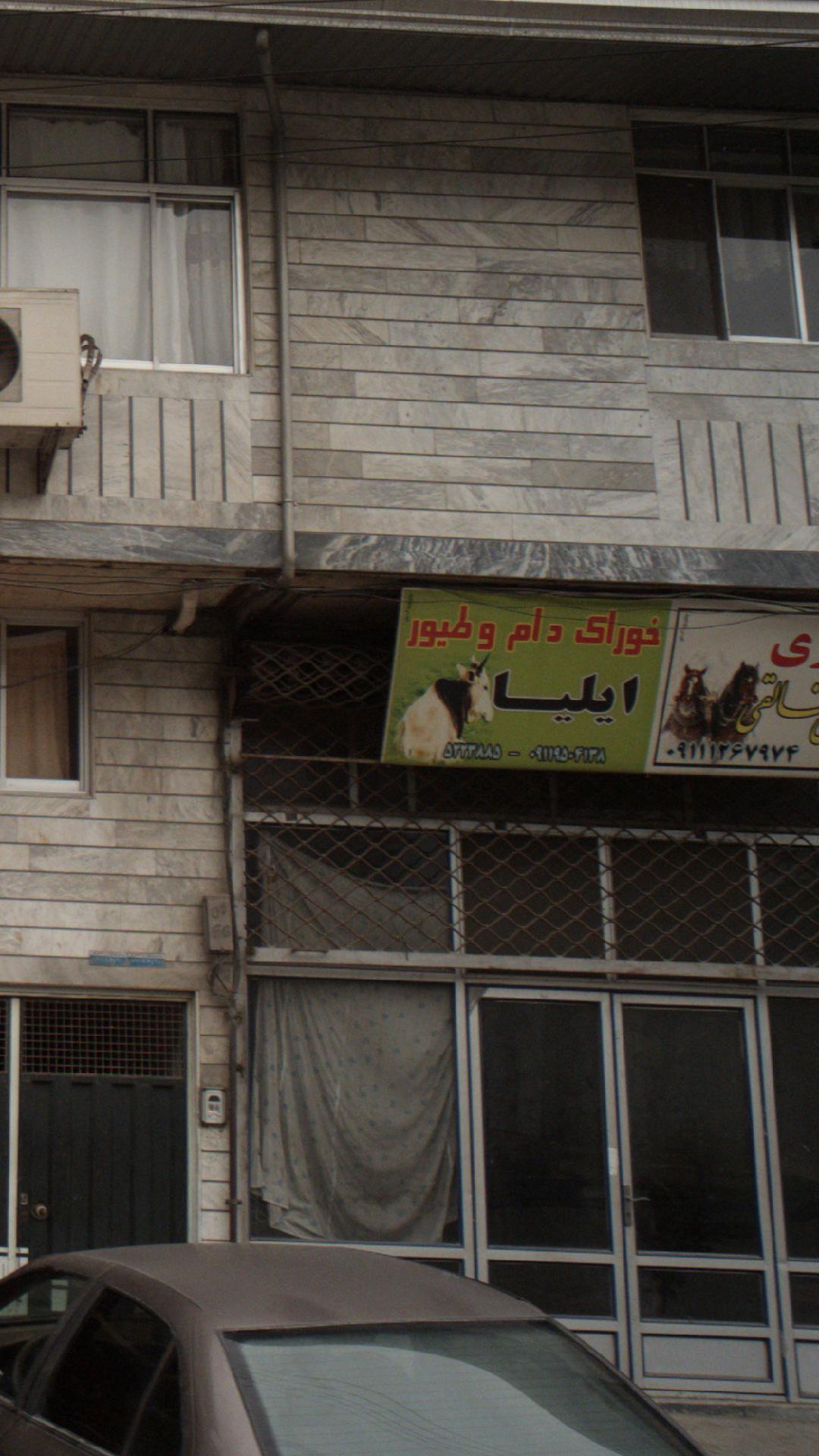 خوراک دام و طیور ایلیا