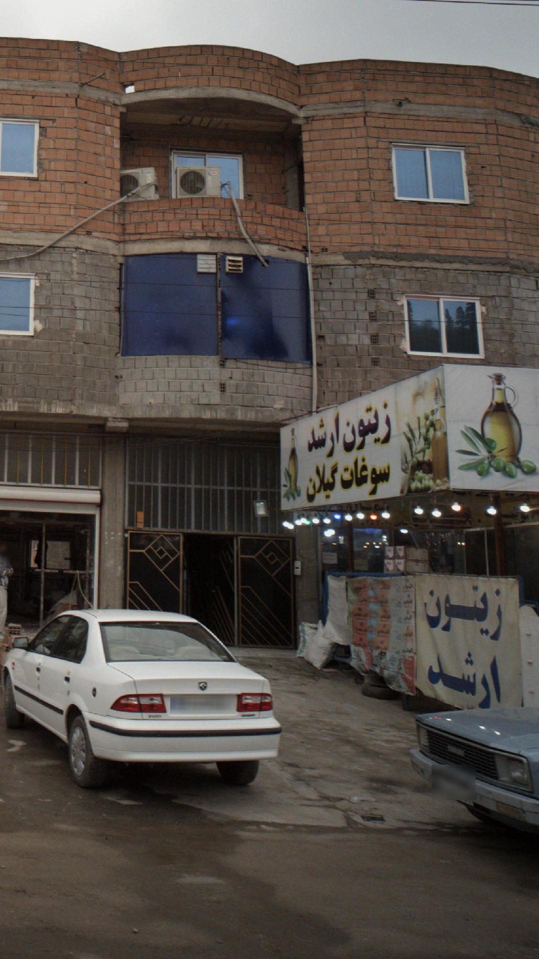 زیتون سوغات گیلان