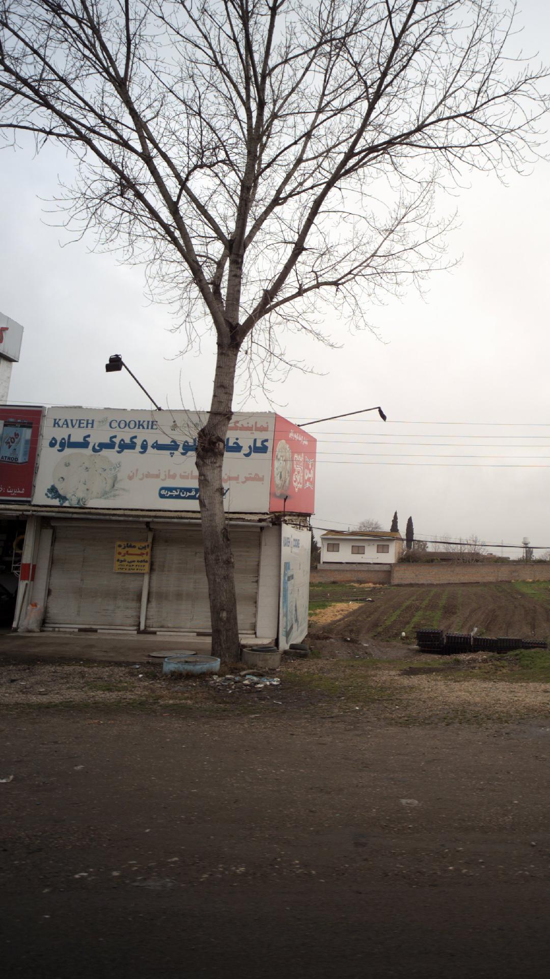 نمایندگی کارخانه کلوچه و کوکی کاوه