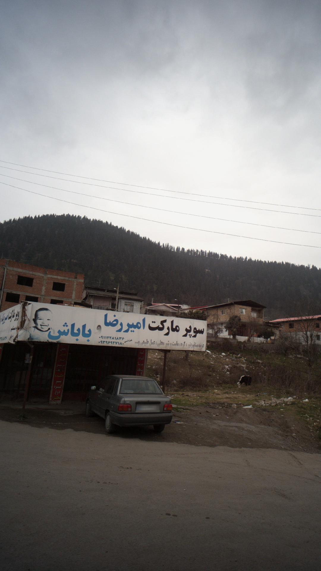 پروتوئینی رضایی