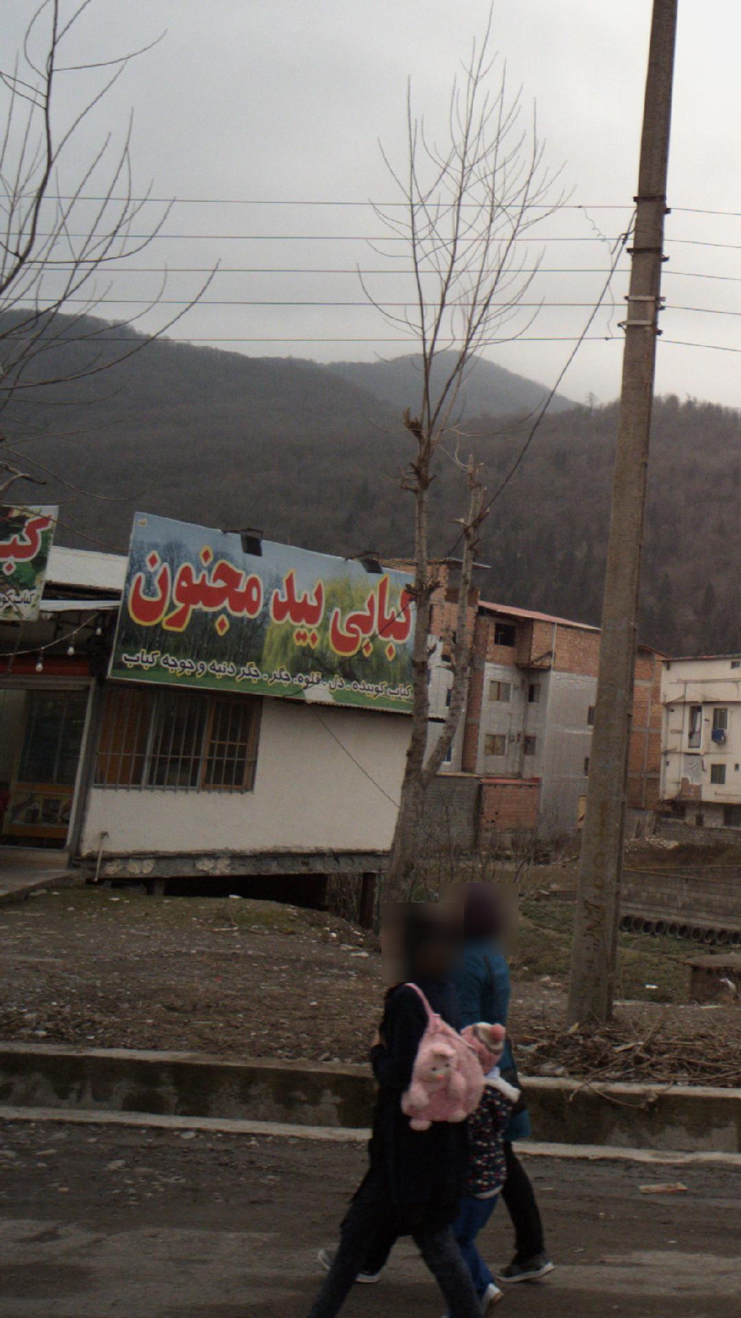 کبابی بید مجنون