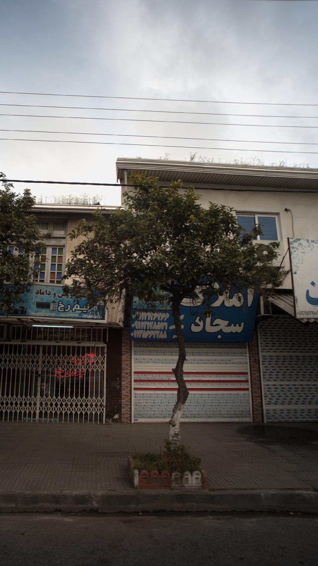 املاک سجاد