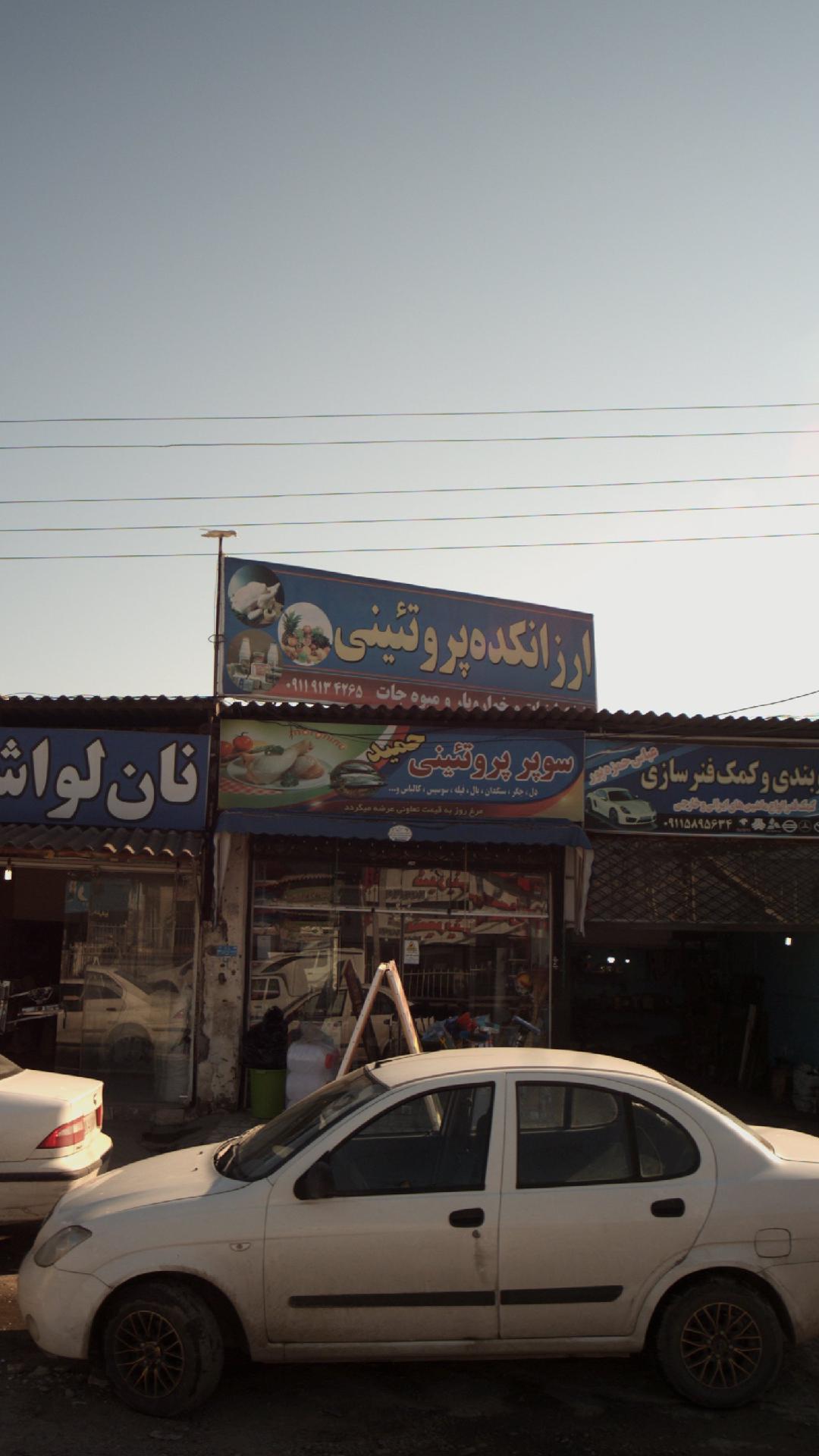 ارزانکده پروتئینی حمید