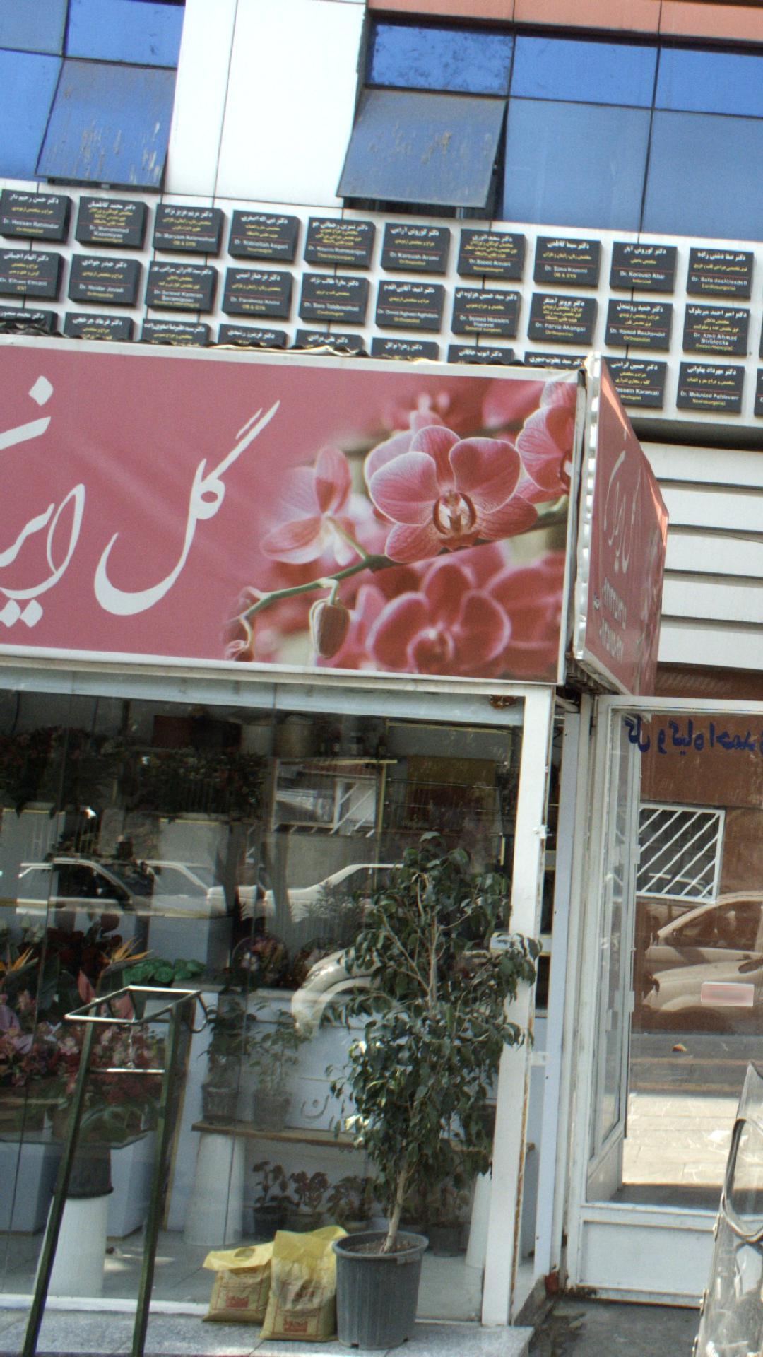 دکتر فرحناز امینی