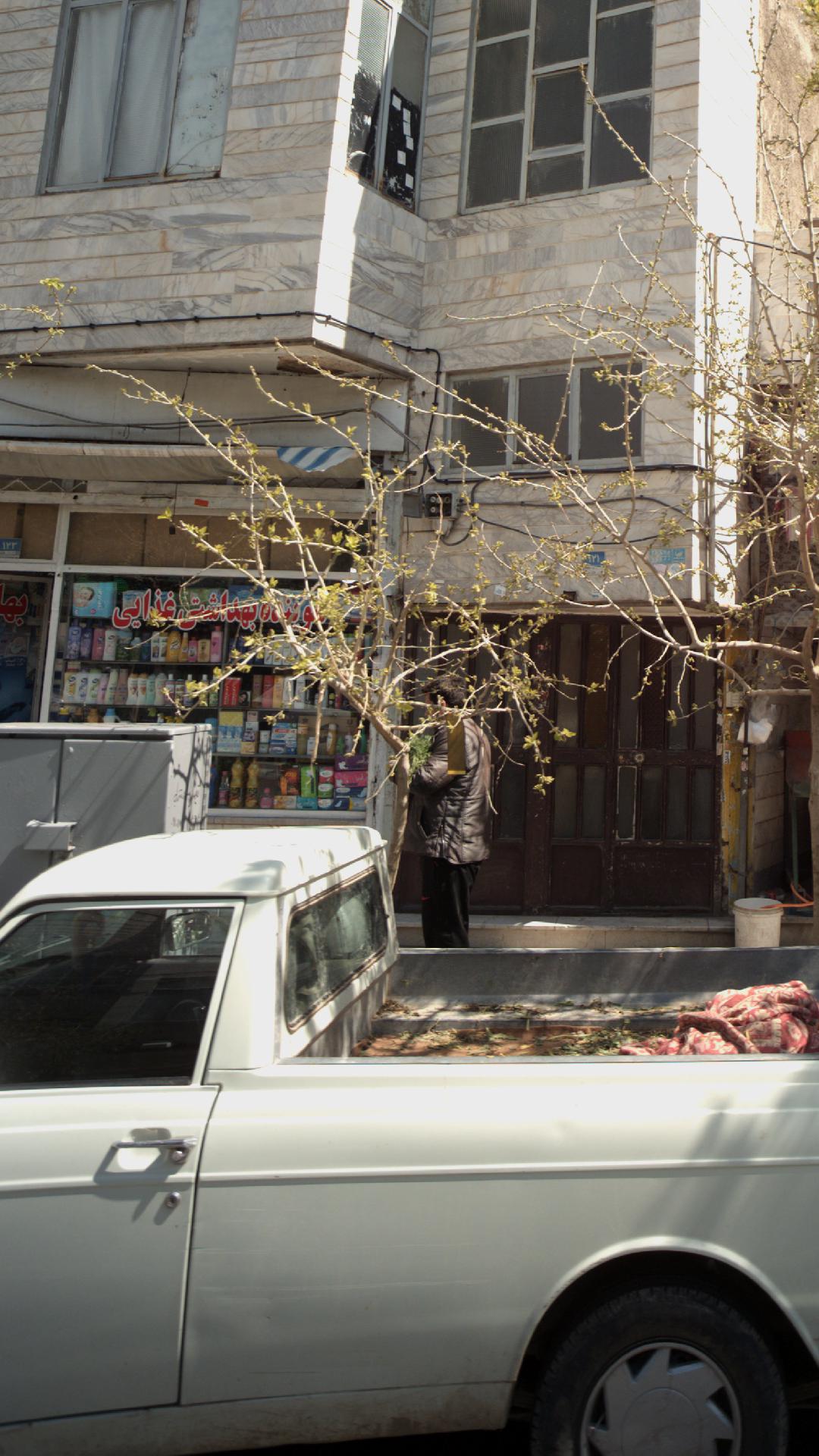 شوینده بهداشتی غذایی بهاران