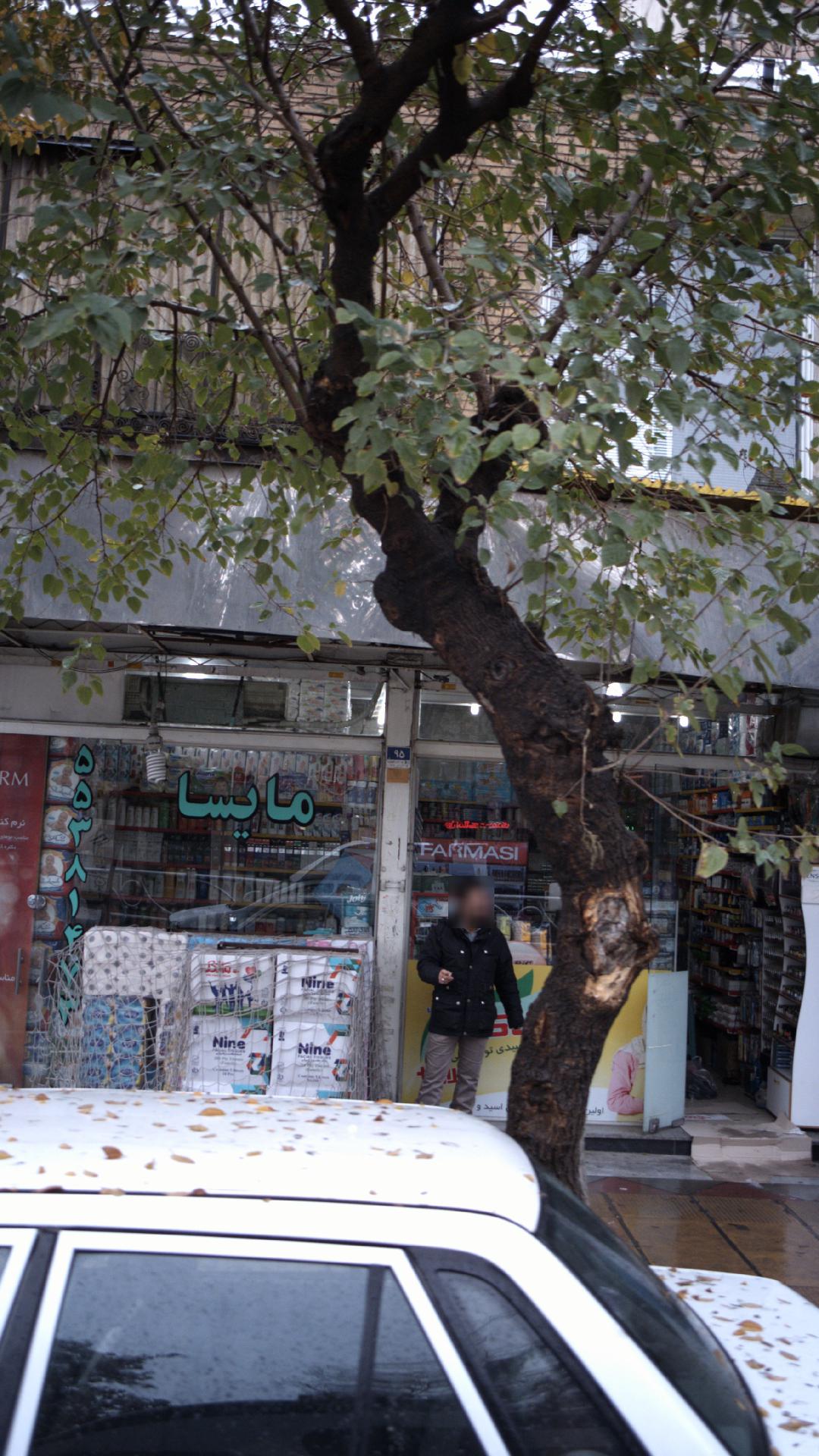 مایسا