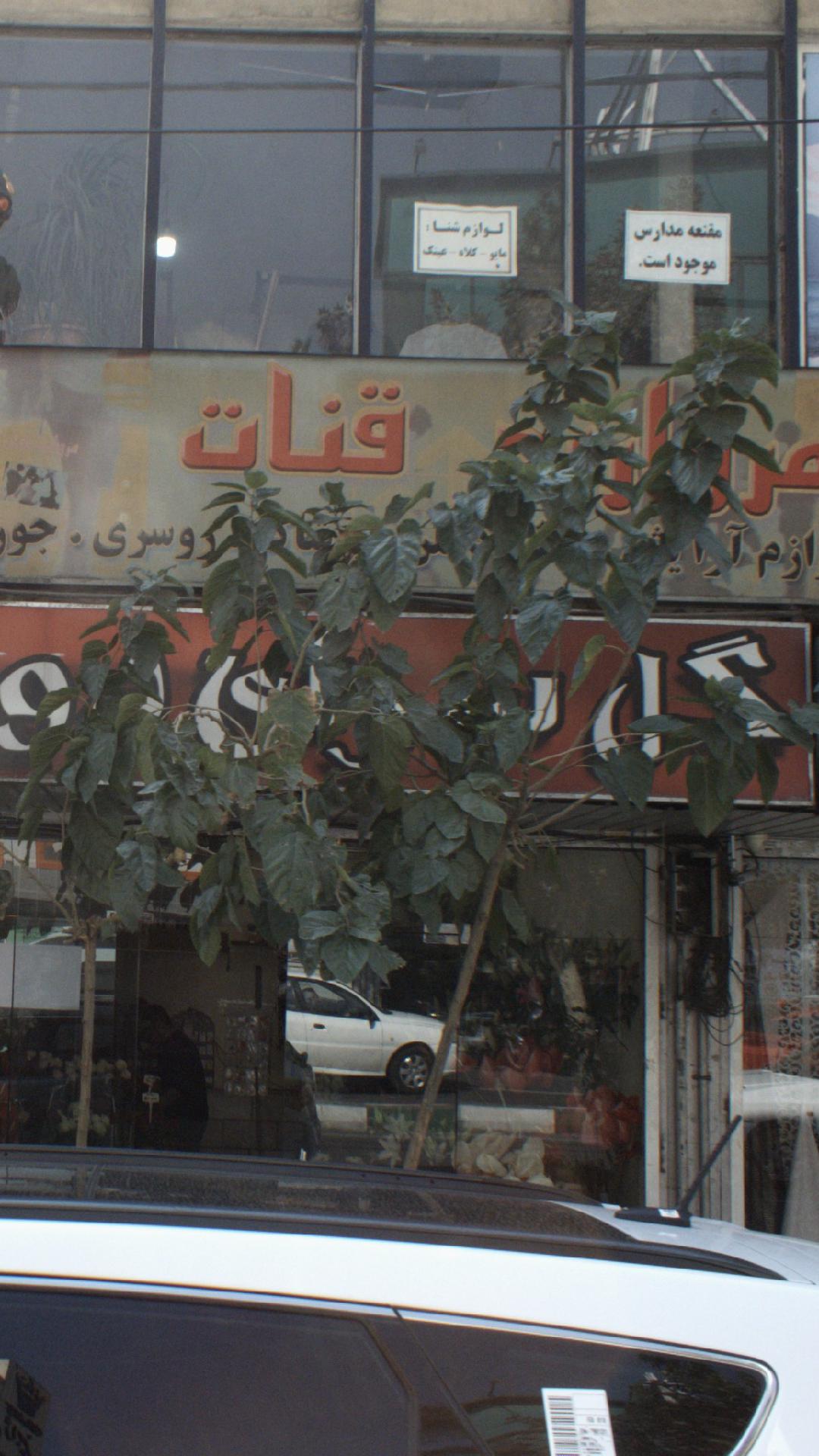 مروارید قنات