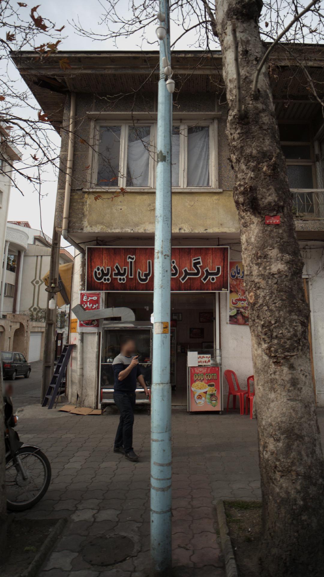 برگرذغالی آیدین