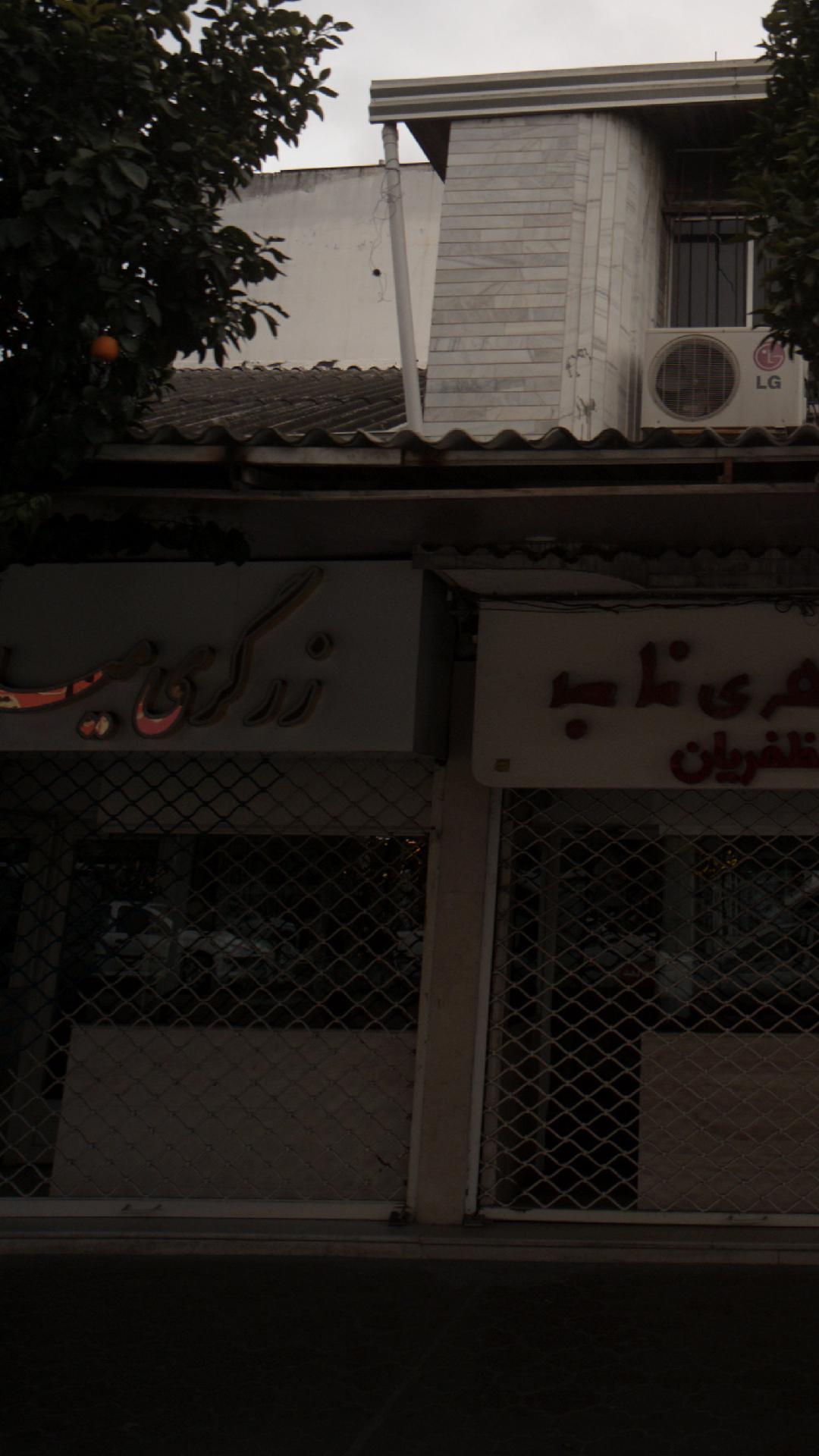 زرگری میلاد