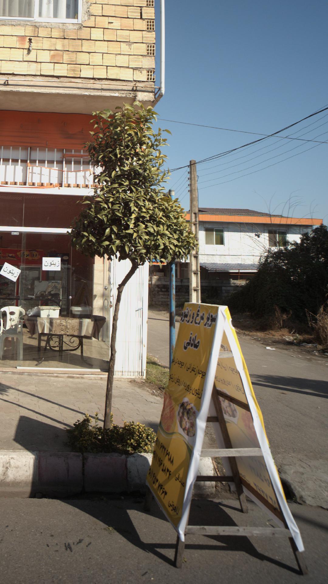 سوپر مرغ و زیتون صادقی