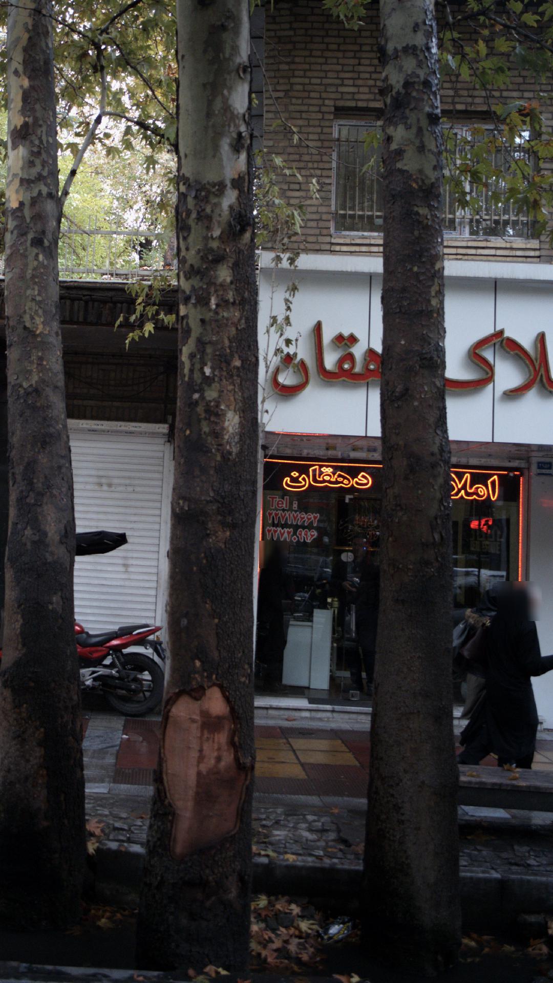 املاک دهقان