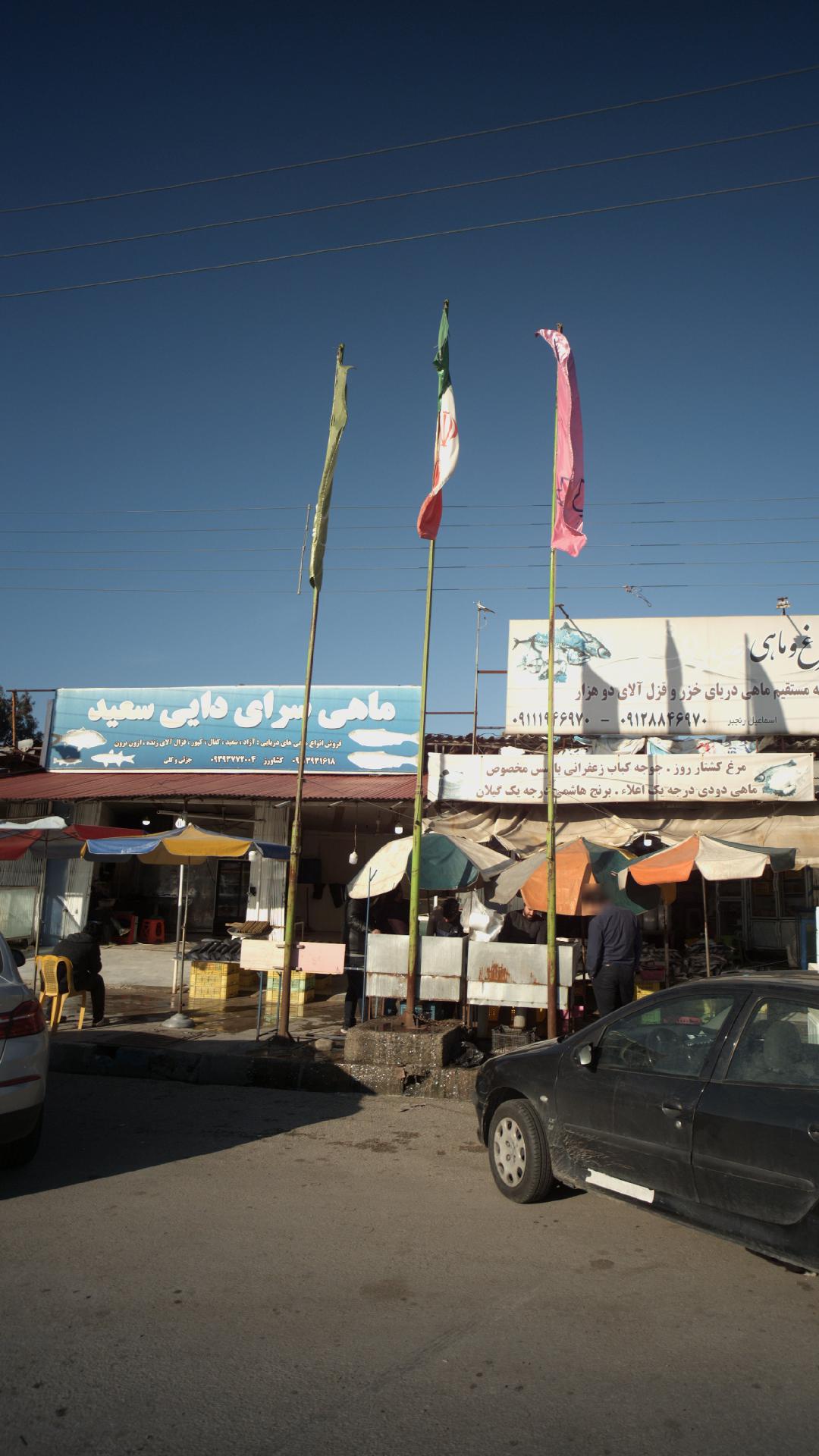 ماهی سرای دایی سعید